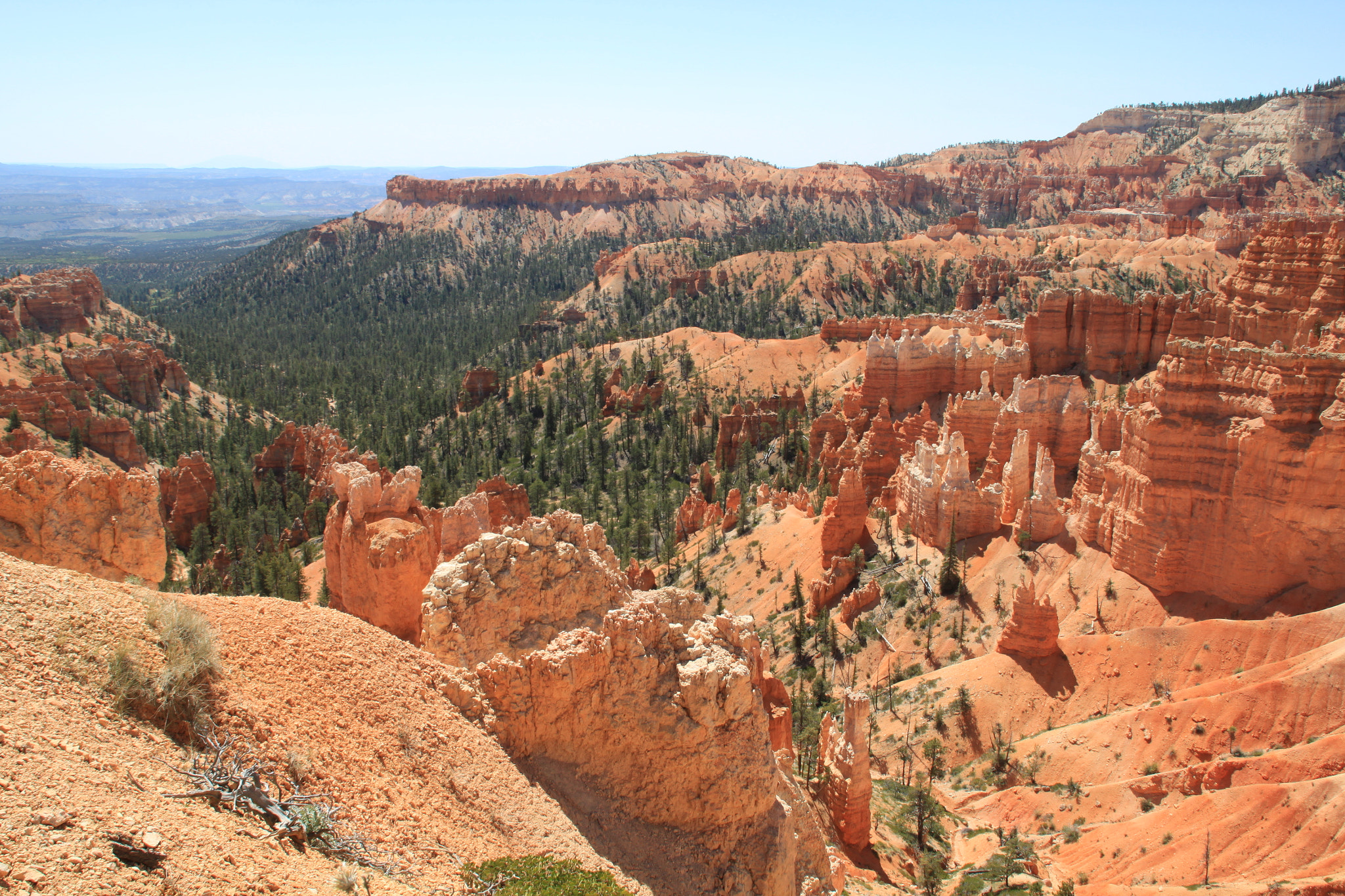 Canon EOS 500D (EOS Rebel T1i / EOS Kiss X3) sample photo. Bryce canyon photography