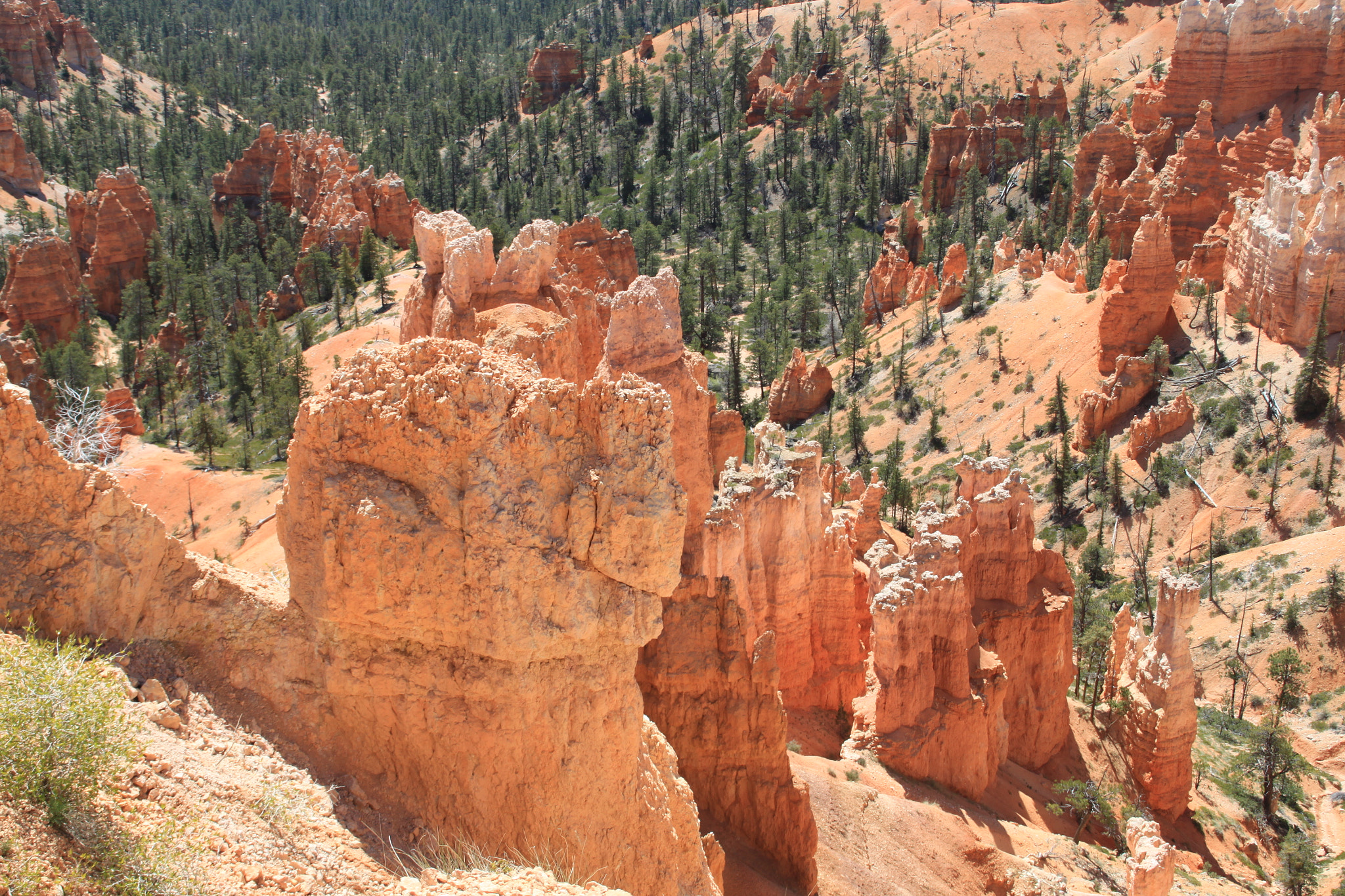 Canon EOS 500D (EOS Rebel T1i / EOS Kiss X3) sample photo. Bryce canyon photography