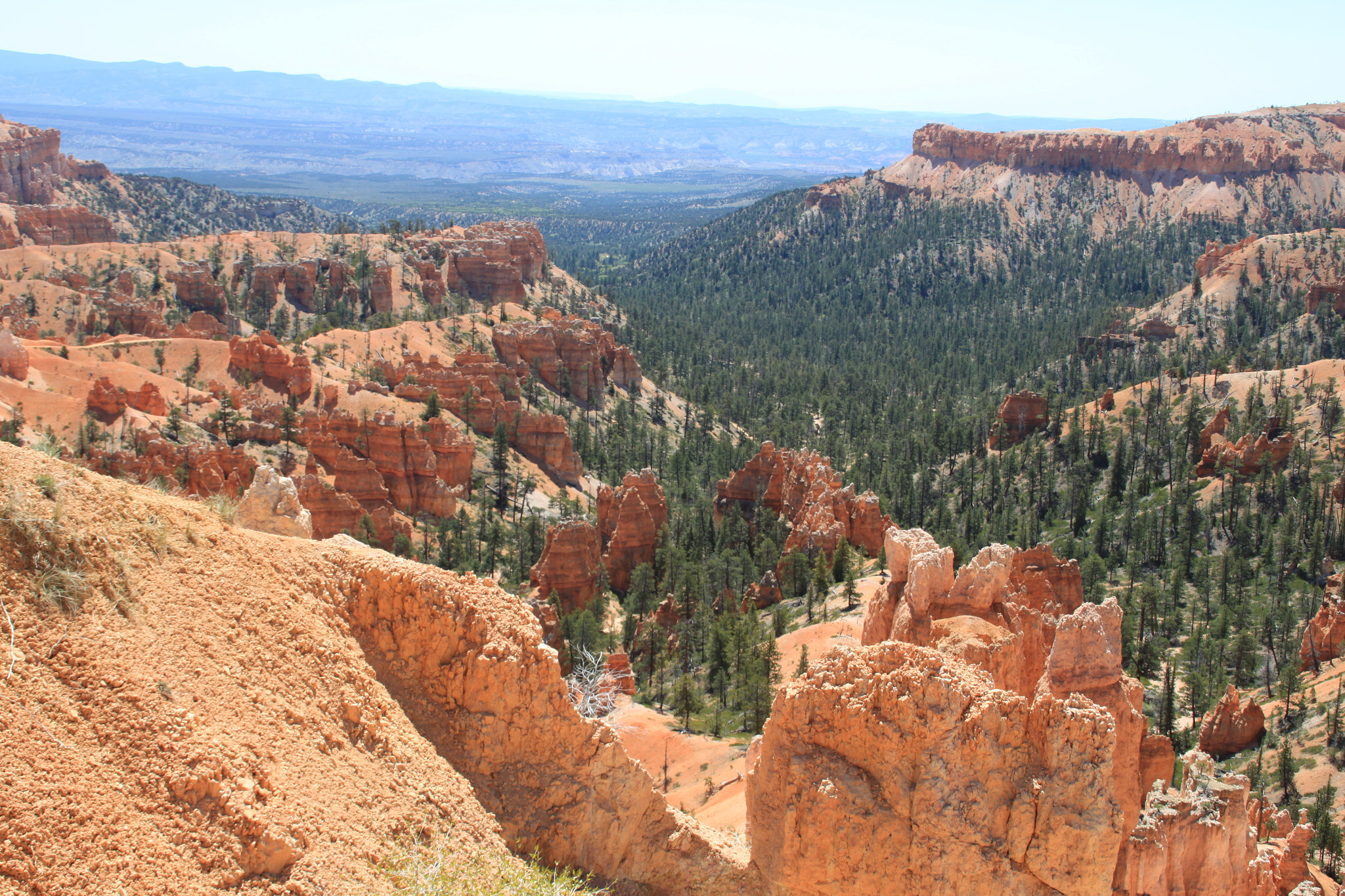 Canon EOS 500D (EOS Rebel T1i / EOS Kiss X3) sample photo. Bryce canyon photography