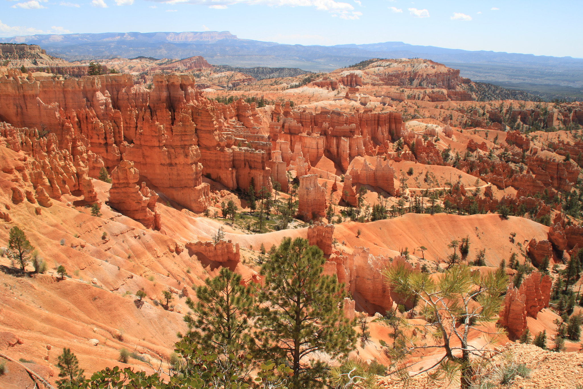 Canon EOS 500D (EOS Rebel T1i / EOS Kiss X3) sample photo. Bryce canyon photography
