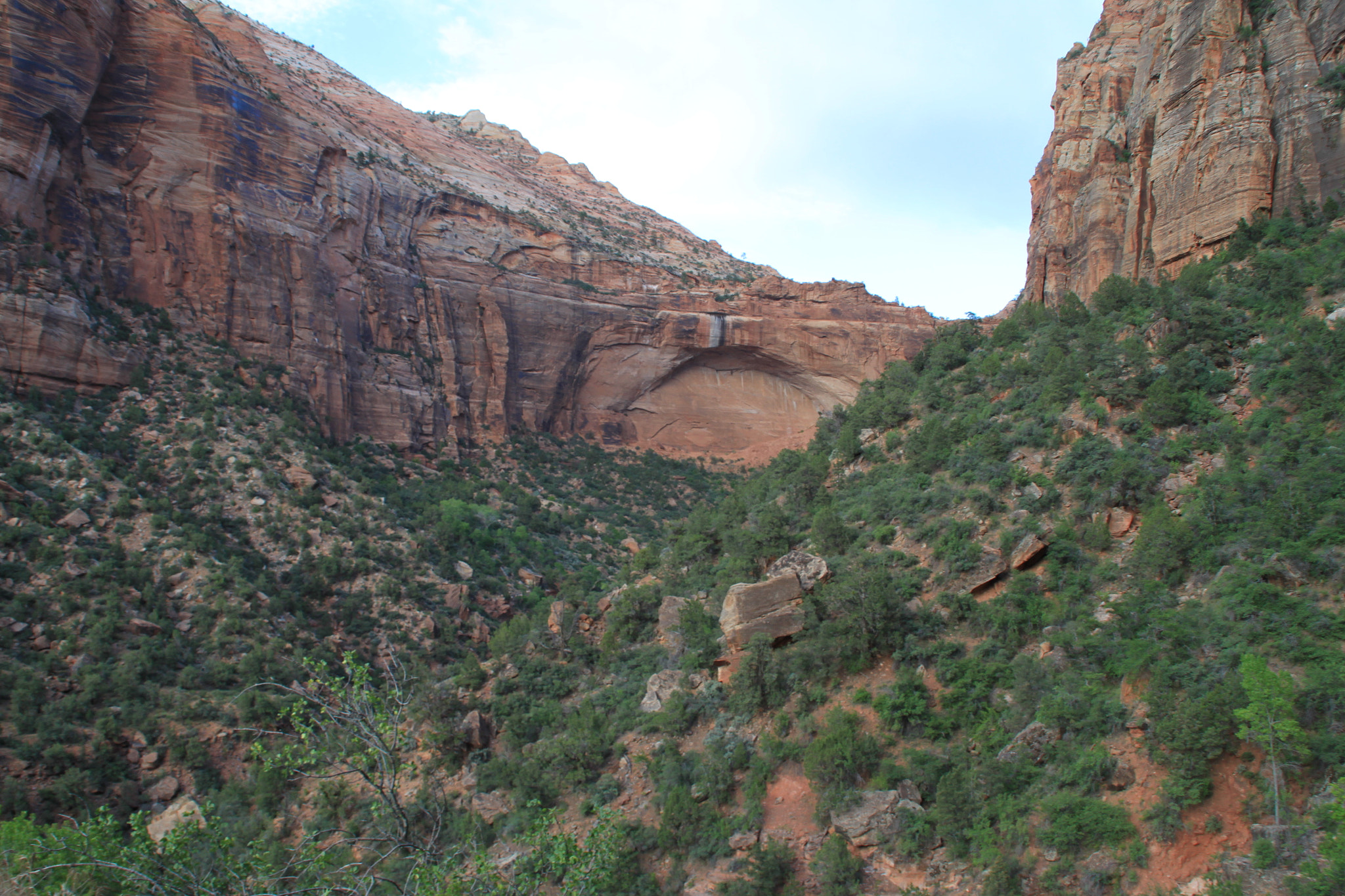 Canon EOS 500D (EOS Rebel T1i / EOS Kiss X3) sample photo. Zion national park photography