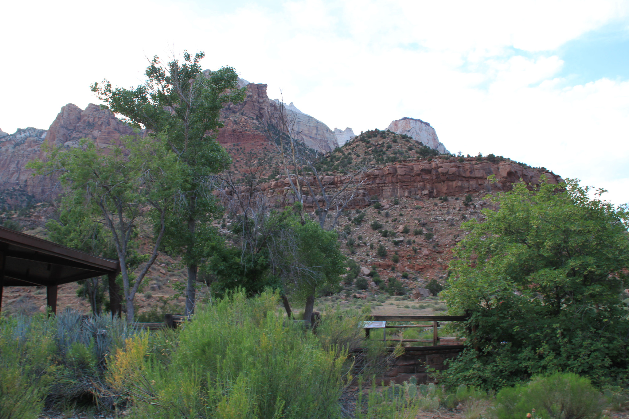 Canon EOS 500D (EOS Rebel T1i / EOS Kiss X3) sample photo. Zion national park photography