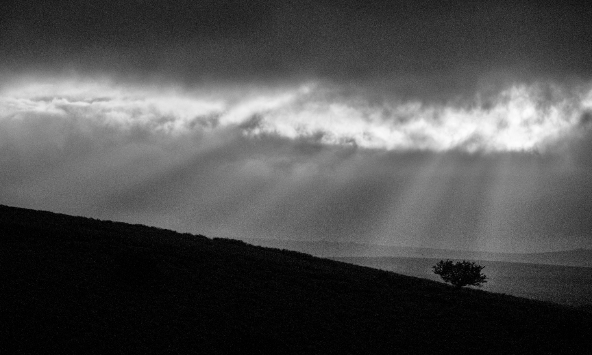 Sony Alpha DSLR-A900 + Sony 70-400mm F4-5.6 G SSM sample photo. One tree hill photography