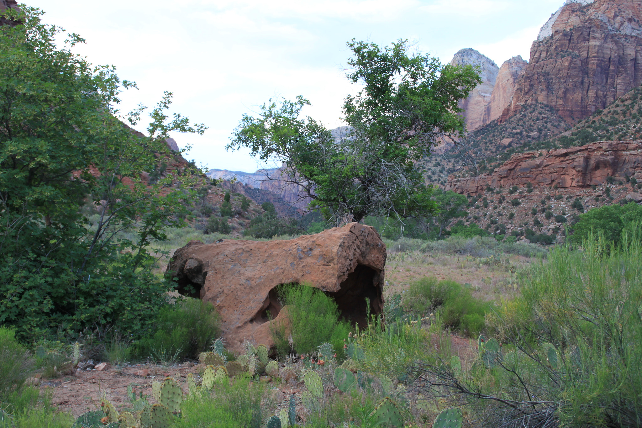 Canon EOS 500D (EOS Rebel T1i / EOS Kiss X3) sample photo. Zion national park photography