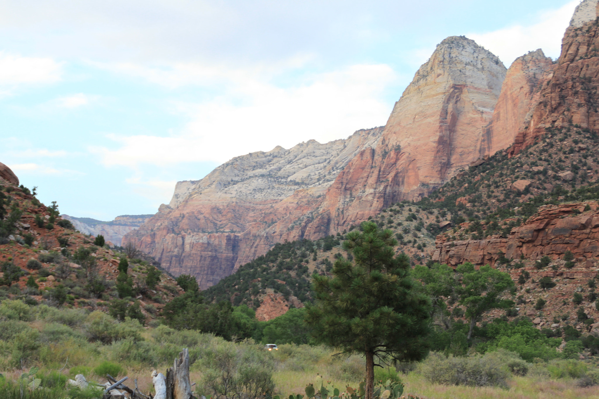 Canon EOS 500D (EOS Rebel T1i / EOS Kiss X3) sample photo. Zion national park photography