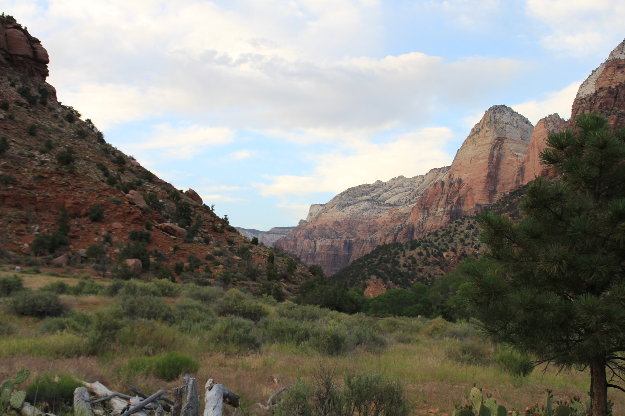 Canon EOS 500D (EOS Rebel T1i / EOS Kiss X3) sample photo. Zion national park photography