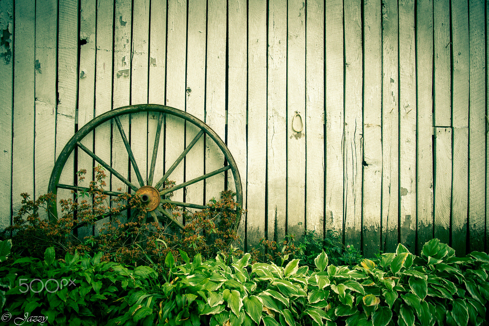 Sony Alpha DSLR-A850 + Soligor 19-35mm F3.5-4.5 sample photo. Country life photography