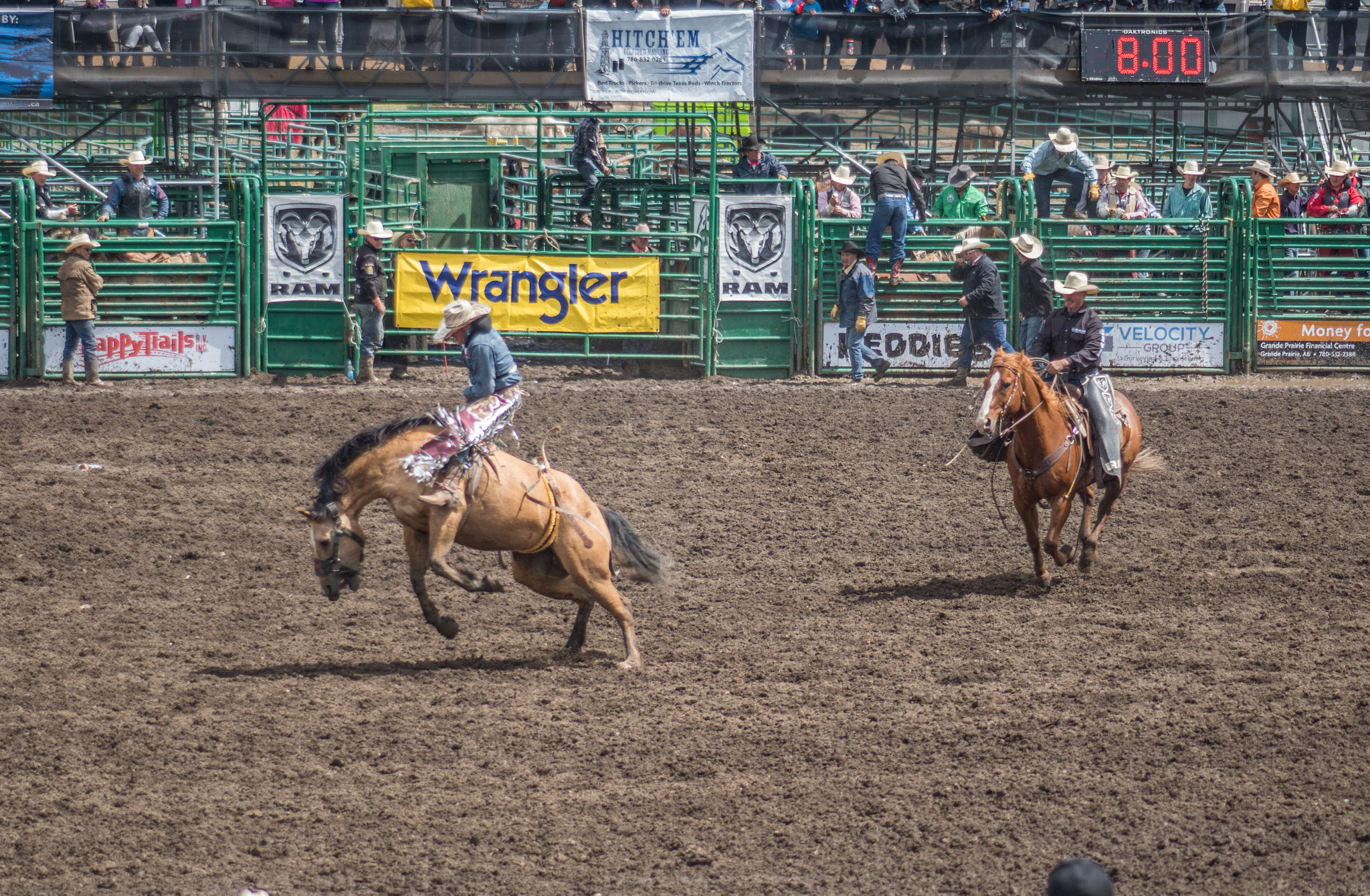 Minolta AF 100-300mm F4.5-5.6 xi sample photo. Horserodeo photography