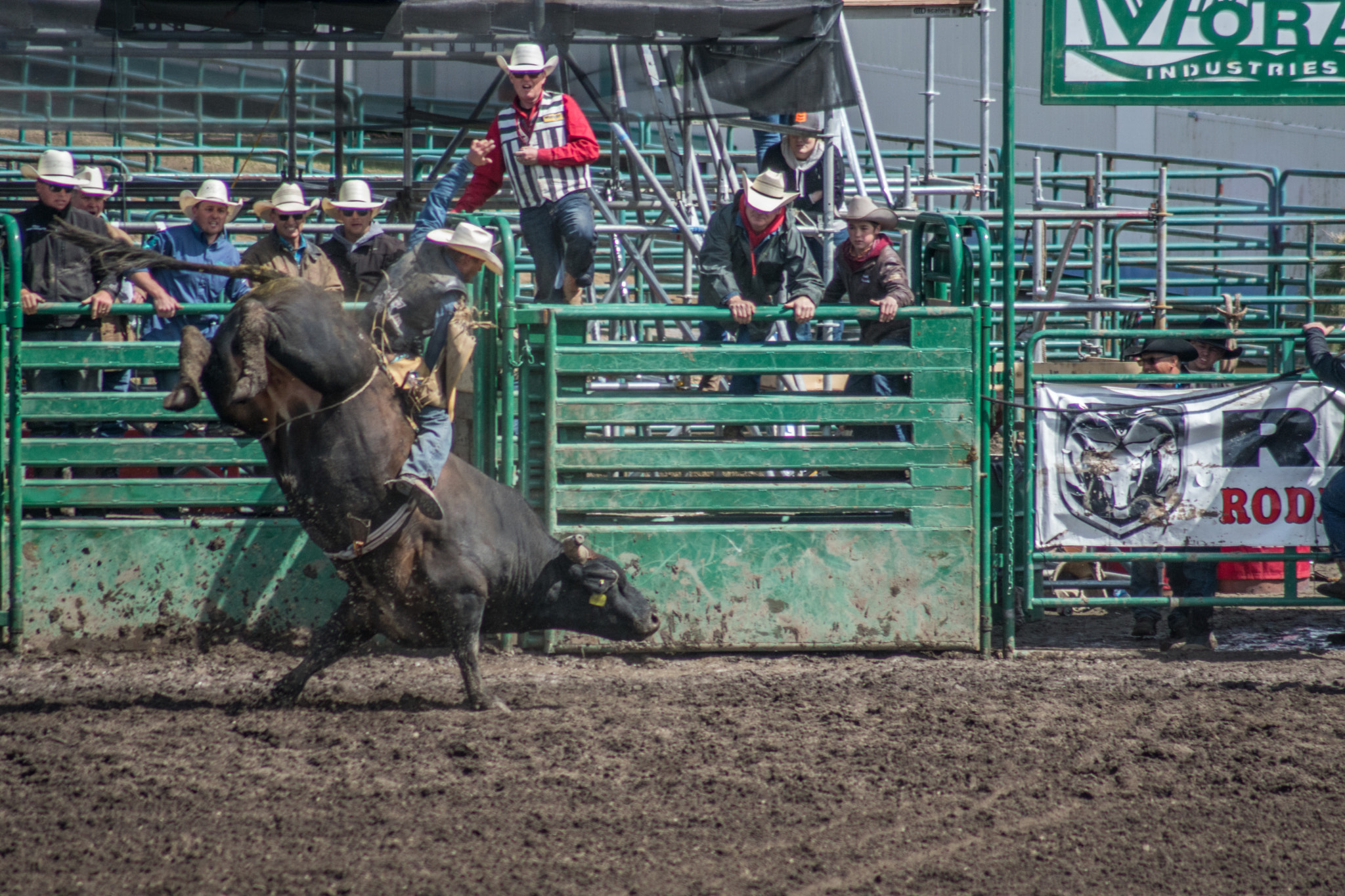 Minolta AF 100-300mm F4.5-5.6 xi sample photo. Rodeo: der bullreiter photography