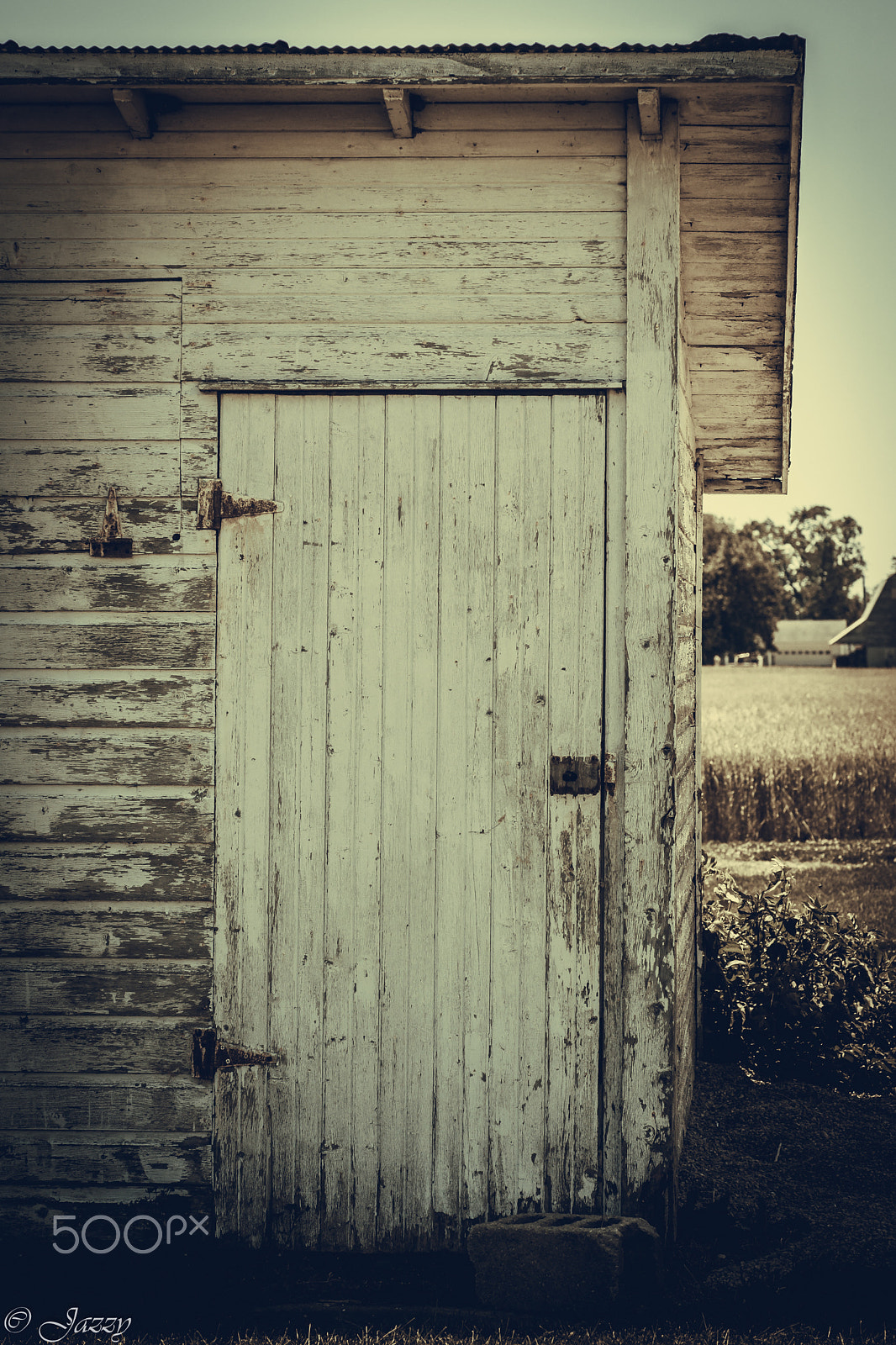 Sony Alpha DSLR-A850 + Minolta AF 100mm F2.8 Macro [New] sample photo. Country life photography