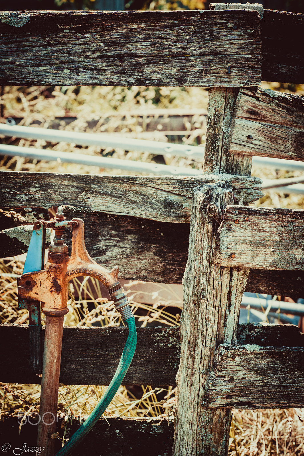 Sony Alpha DSLR-A850 + Minolta AF 100mm F2.8 Macro [New] sample photo. Country life photography