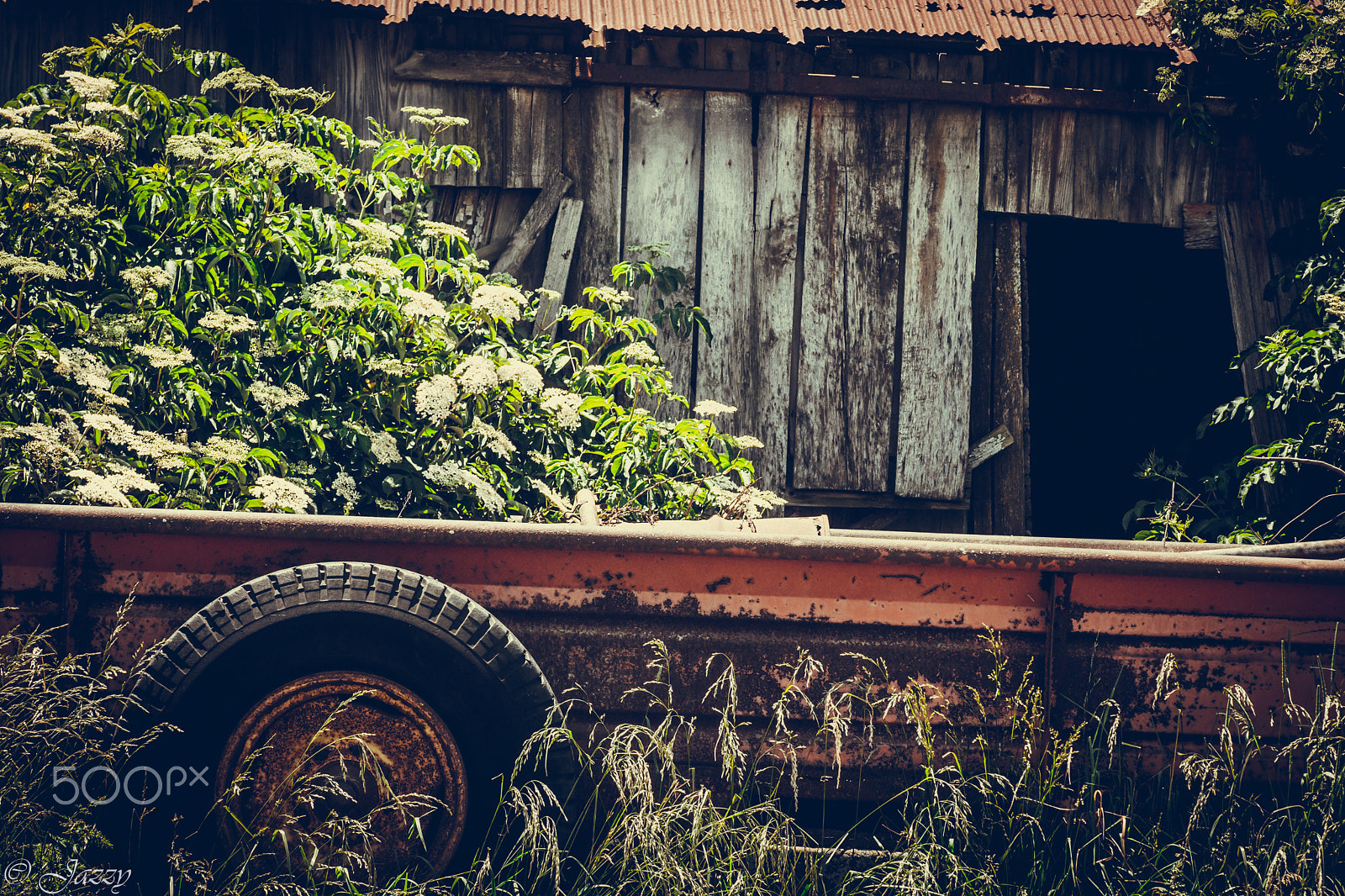 Sony Alpha DSLR-A850 + Minolta AF 100mm F2.8 Macro [New] sample photo. Country life photography