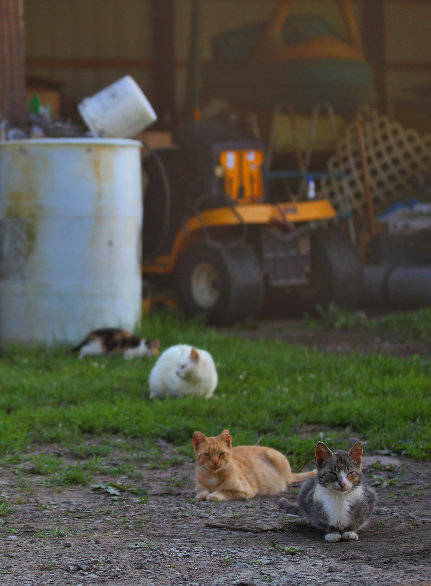 Canon EF-S 60mm F2.8 Macro USM sample photo. Here, there and everywhere photography