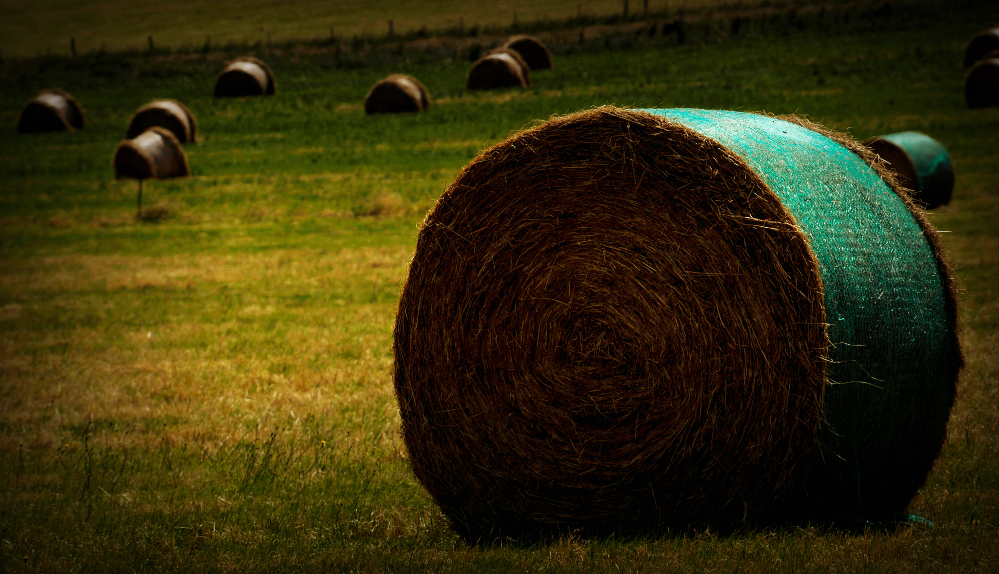 Nikon D3 sample photo. Harvest photography