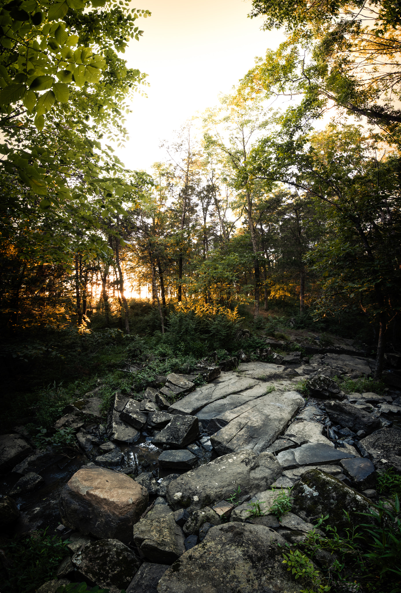 Tokina AT-X 16-28mm F2.8 Pro FX sample photo. Summer sun photography