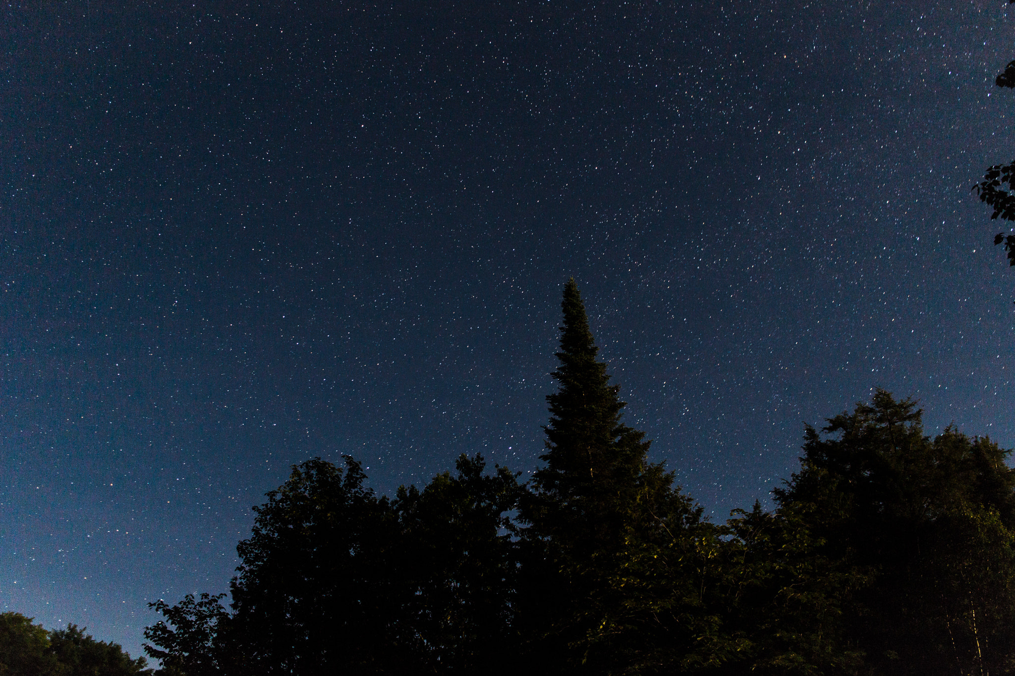 Canon EOS 100D (EOS Rebel SL1 / EOS Kiss X7) sample photo. Starry night | algonquin provincial park | ontario photography