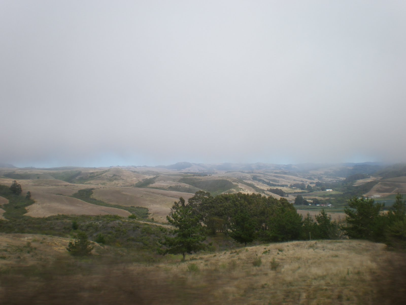 Olympus FE280,X820,C520 sample photo. California fog photography