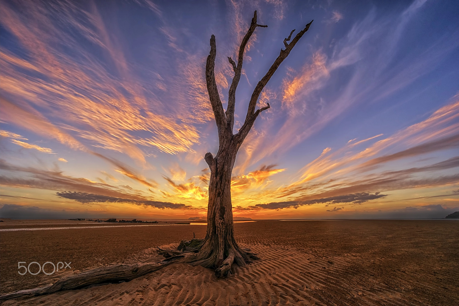 E 10mm F5.6 sample photo. Still alive photography