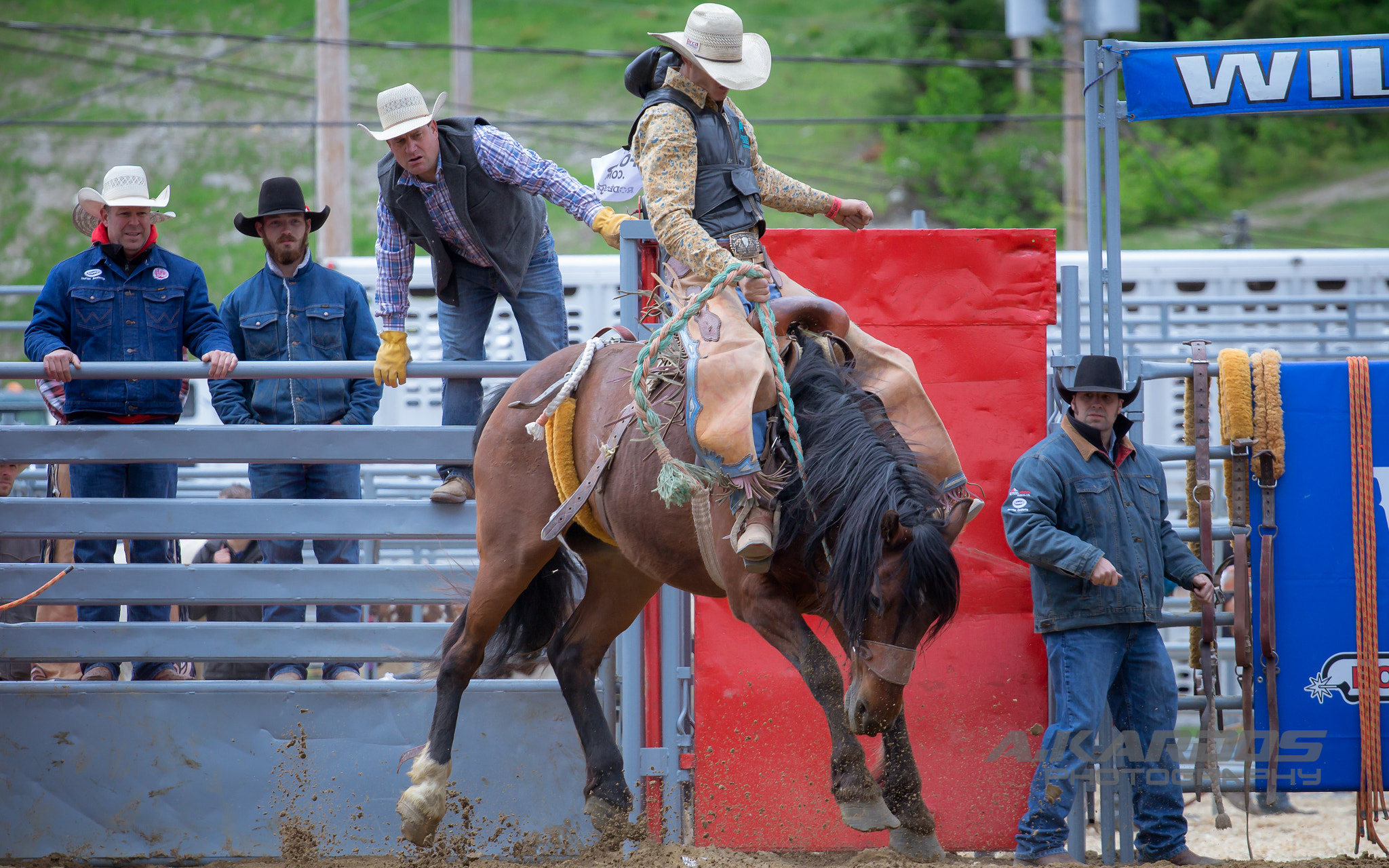 Canon EOS 700D (EOS Rebel T5i / EOS Kiss X7i) + Canon EF 70-200mm F4L USM sample photo. Wild horse 5 - rodéo fest de val saint-côme 2016 photography