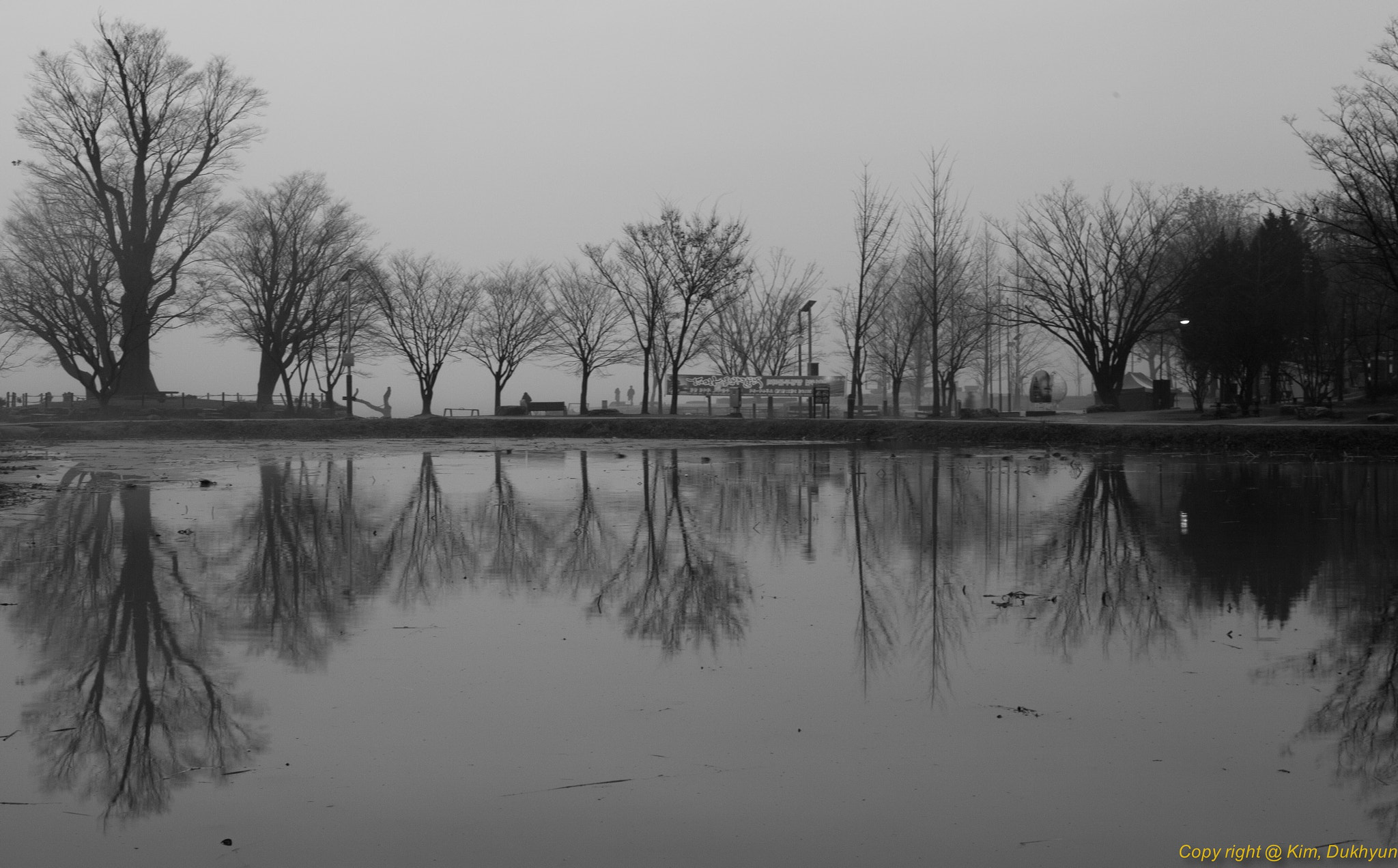 ZEISS Planar T* 50mm F1.4 sample photo. Reflection on a lake photography