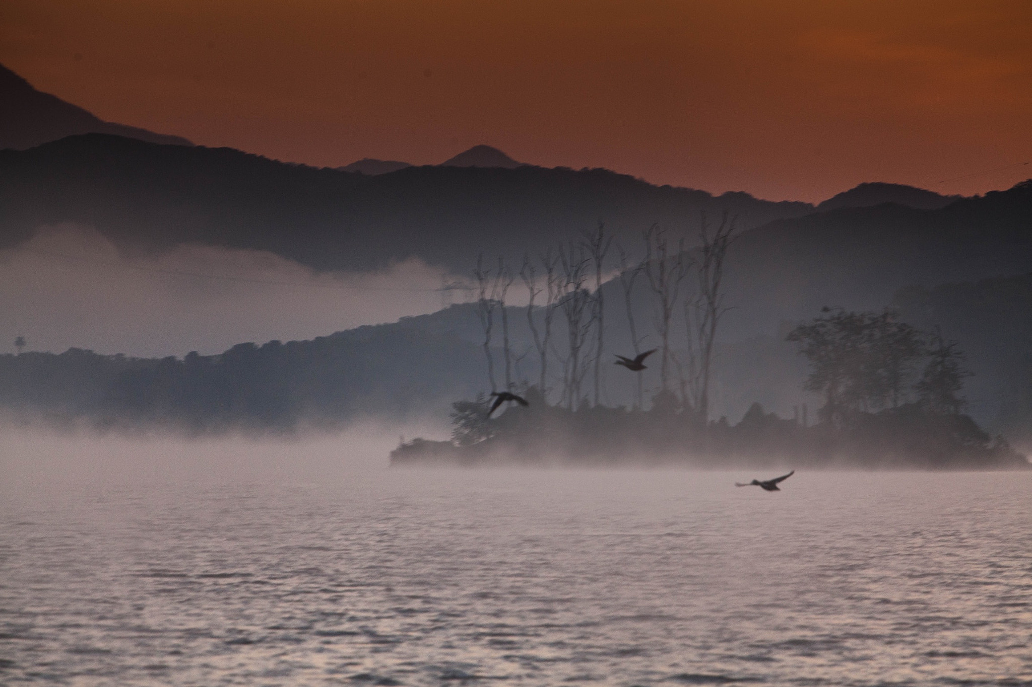 Canon EF 70-200mm F2.8L USM sample photo. Free to fly photography
