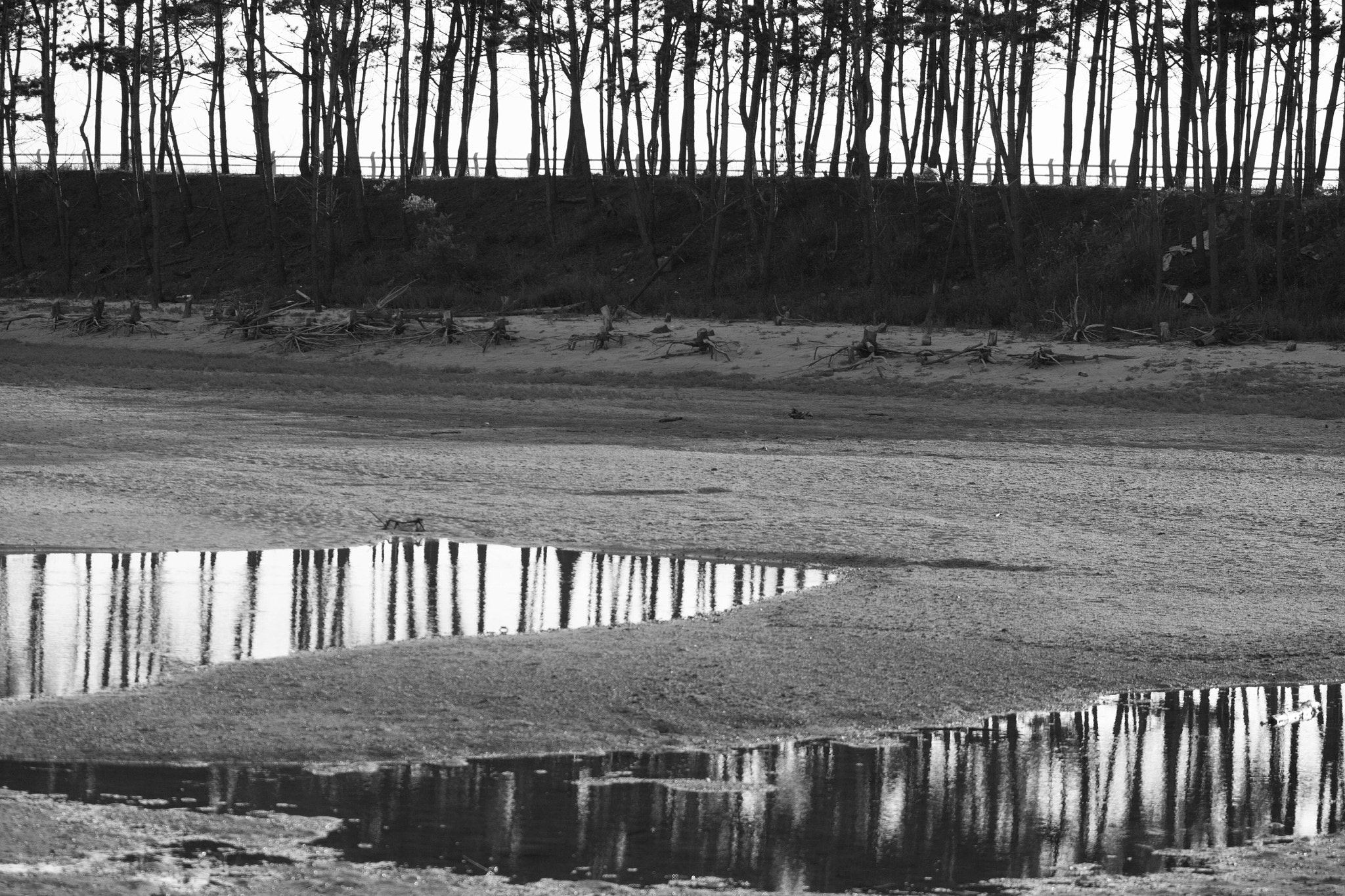 Canon EF 70-200mm F2.8L USM sample photo. Scattered reflection photography