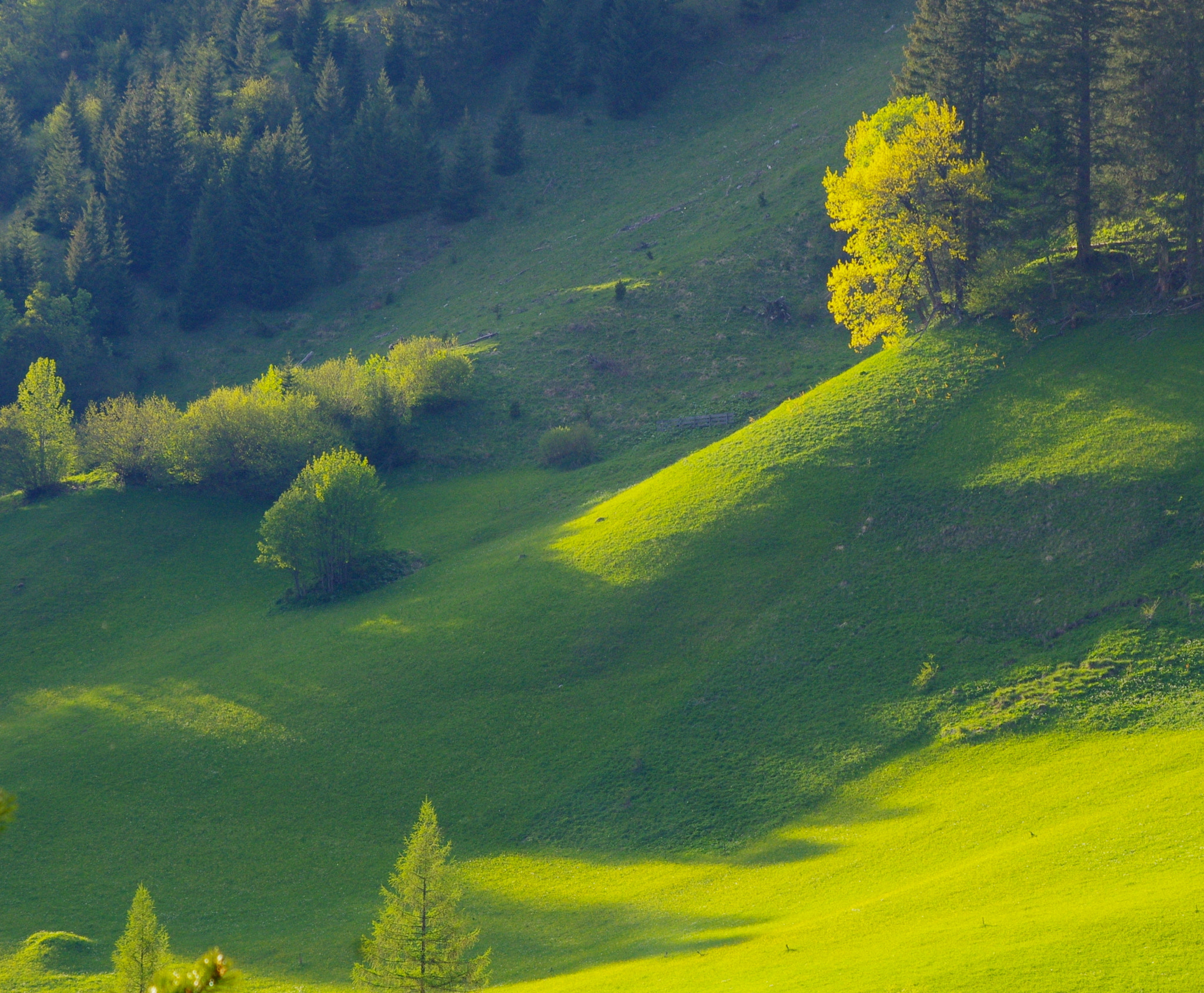 smc PENTAX-DA L 55-300mm F4-5.8 ED sample photo. Namlos - the shadows are getting longer photography