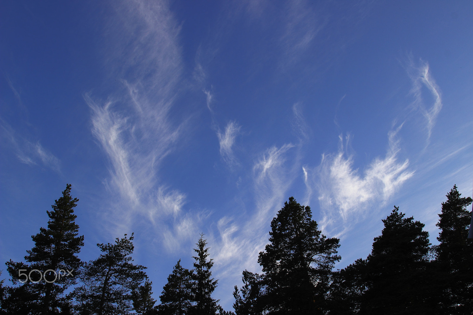 Canon EF 20-35mm f/2.8L sample photo. Clouds photography