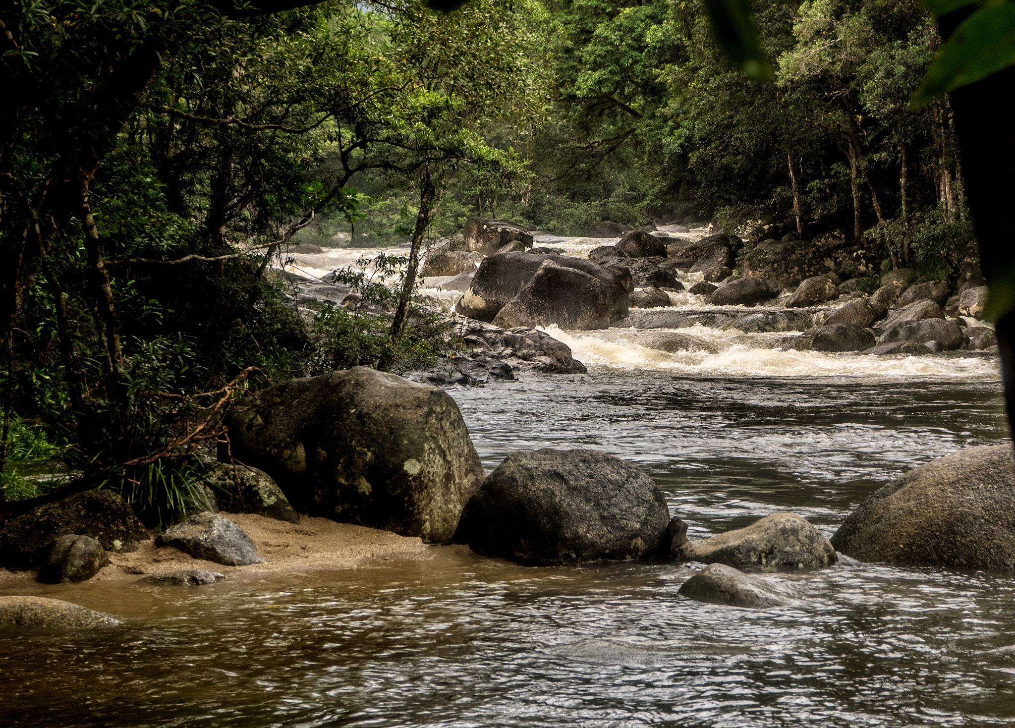 Olympus OM-D E-M1 + OLYMPUS M.12-50mm F3.5-6.3 sample photo. Mossman gorge 1 photography