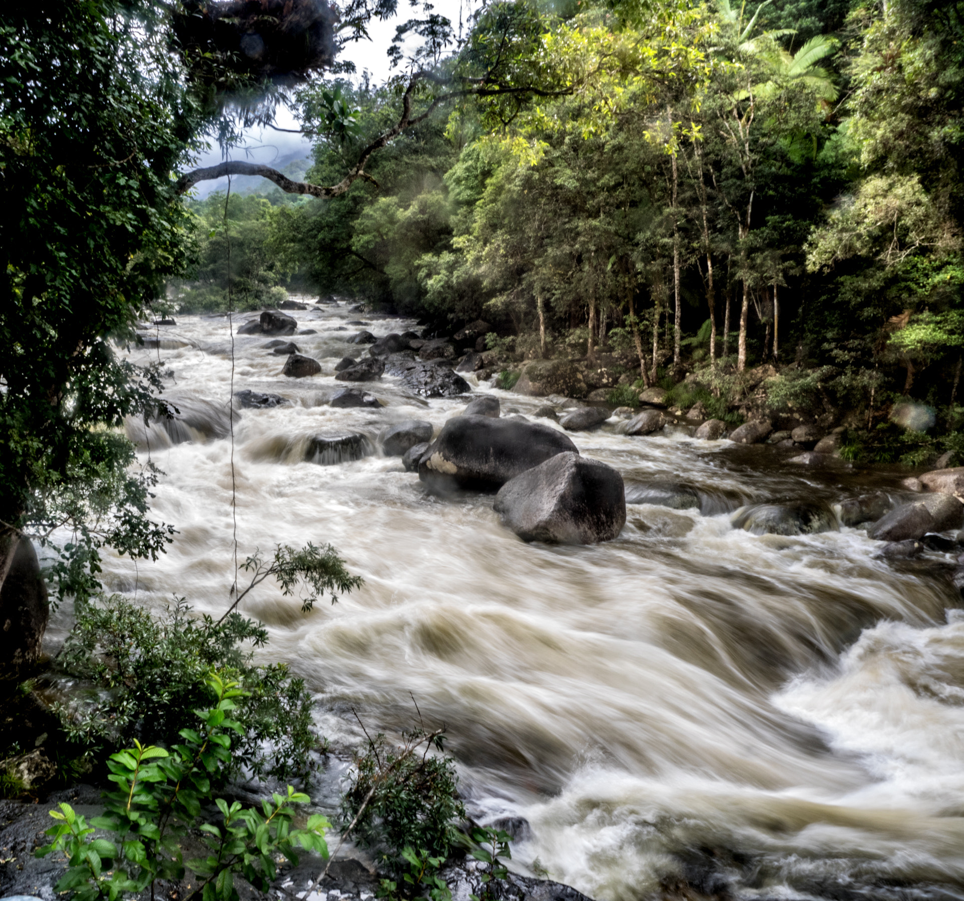 Olympus OM-D E-M1 + OLYMPUS M.12-50mm F3.5-6.3 sample photo. Mossman gorge 2 photography