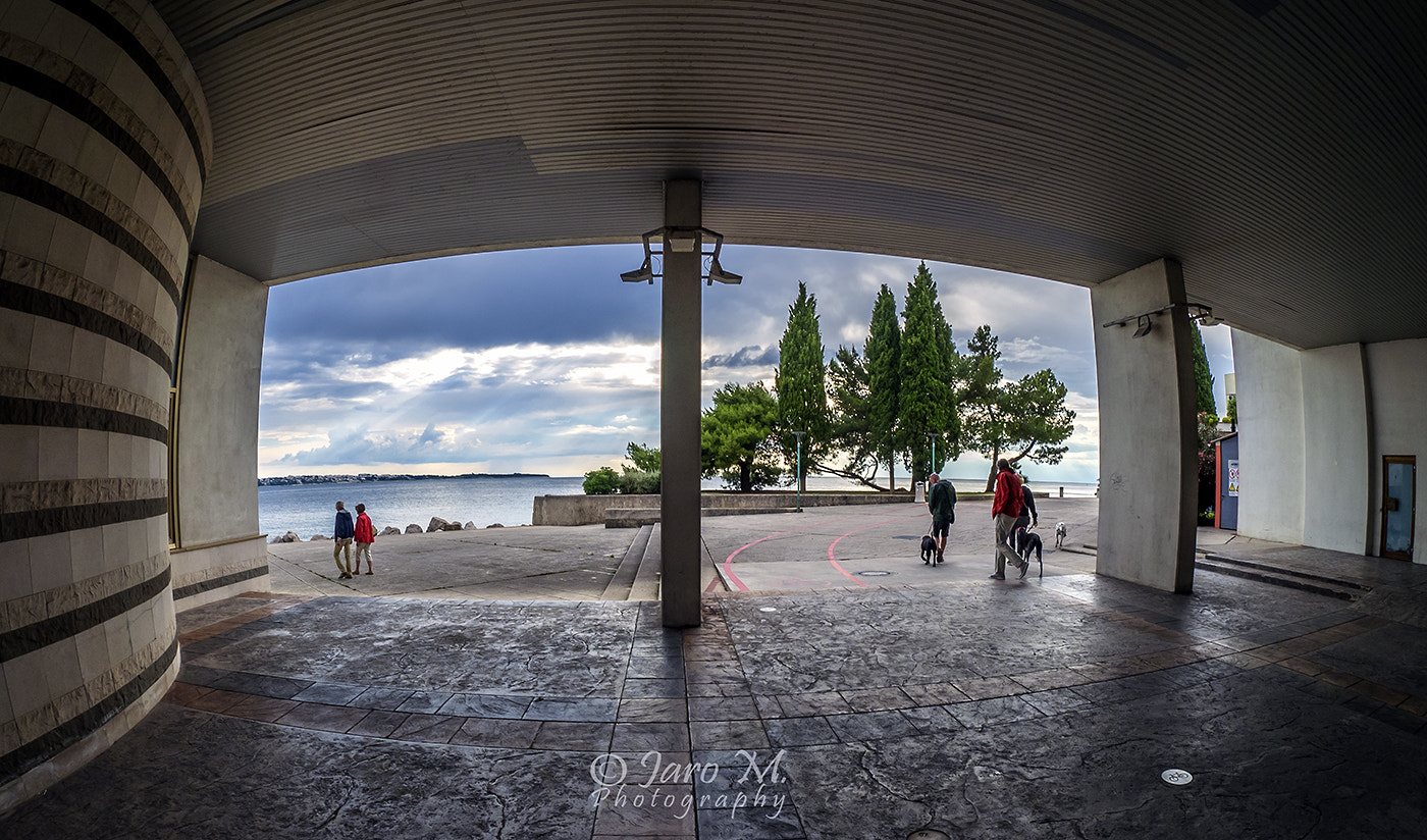 Olympus OM-D E-M1 + OLYMPUS M.8mm F1.8 sample photo. Morning walk photography