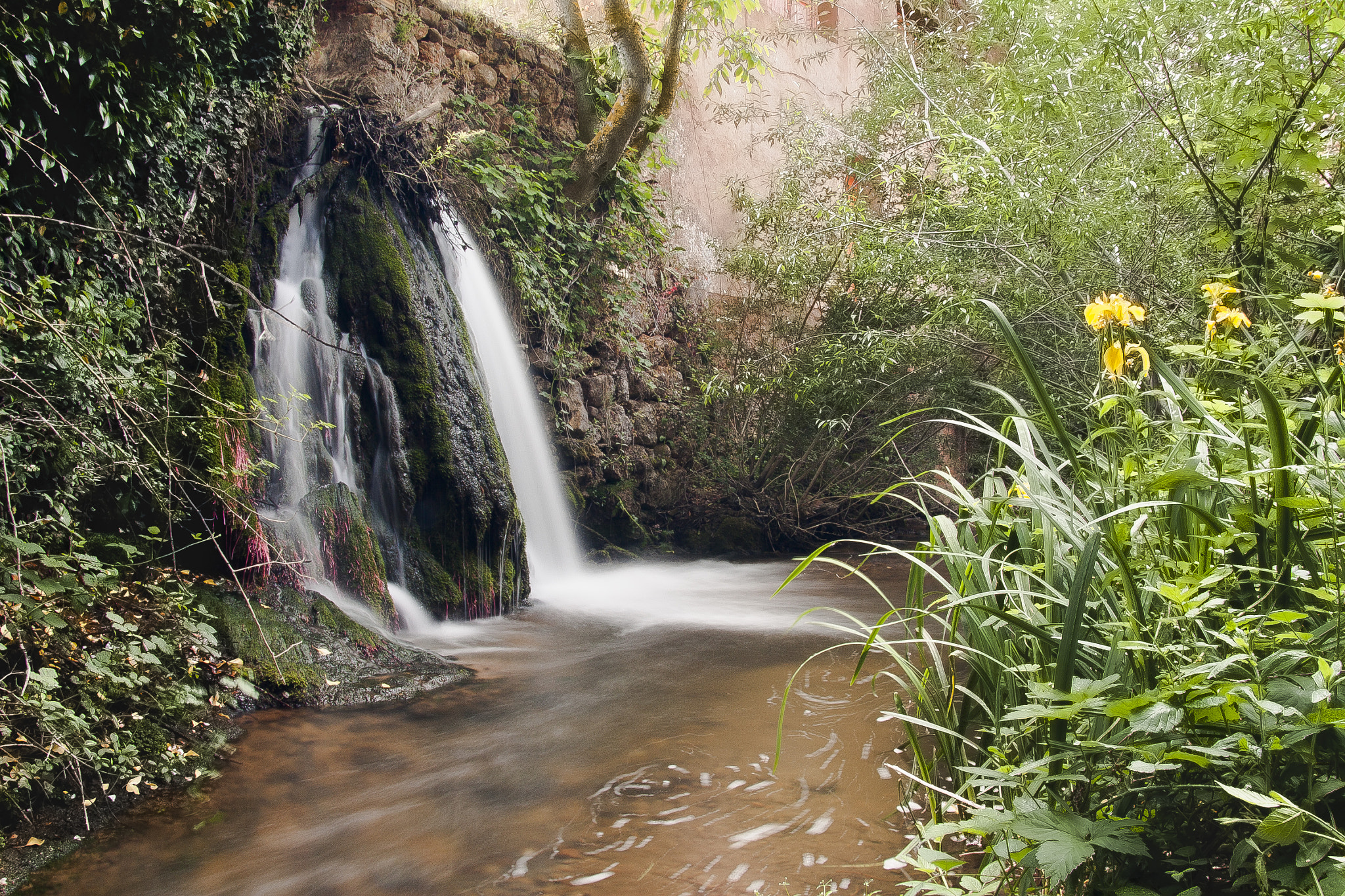Canon TS-E 90mm F2.8 Tilt-Shift sample photo. Cascada lirios de agua photography