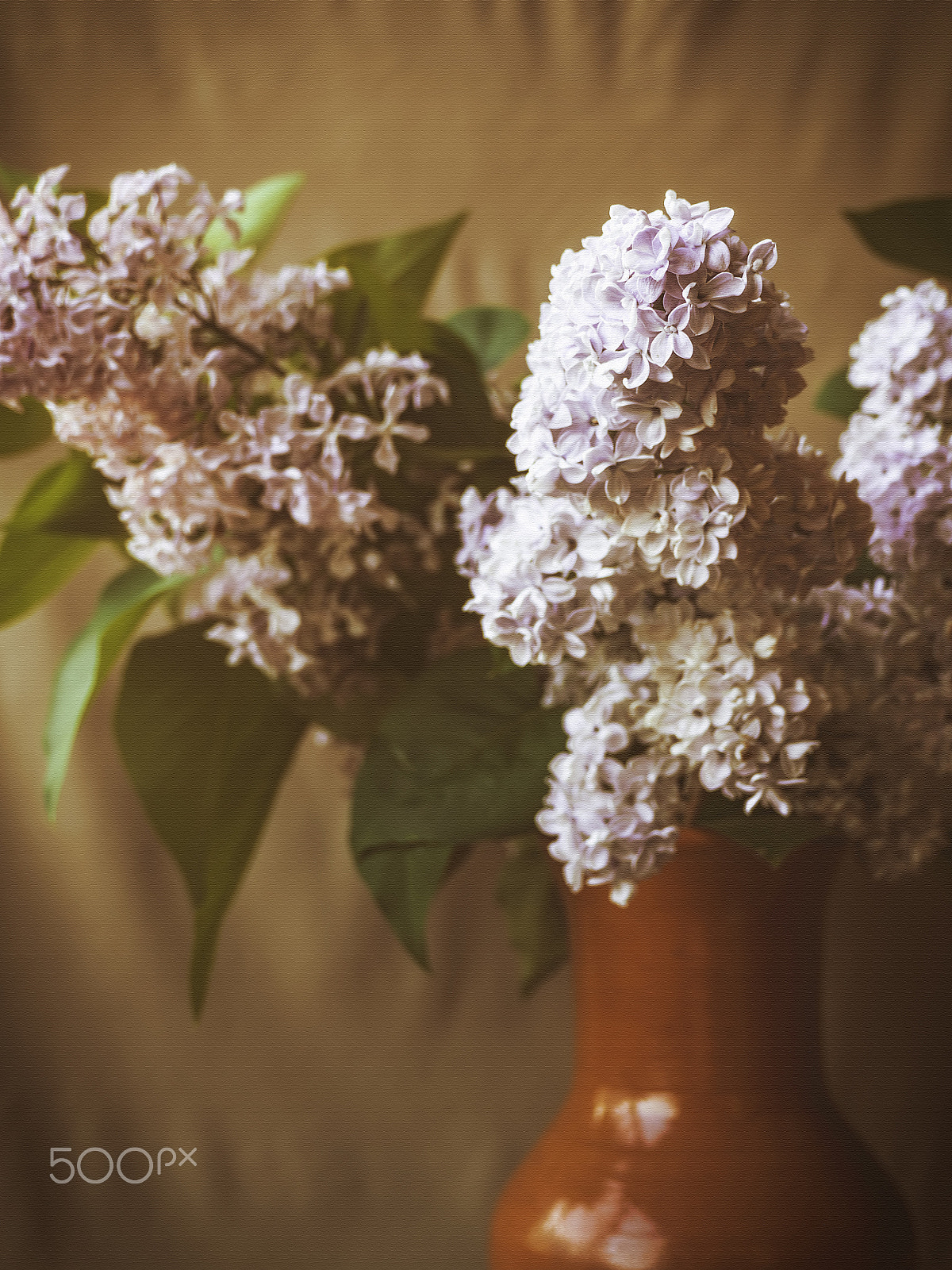 OLYMPUS 11-22mm Lens sample photo. Flowers in the vase photography