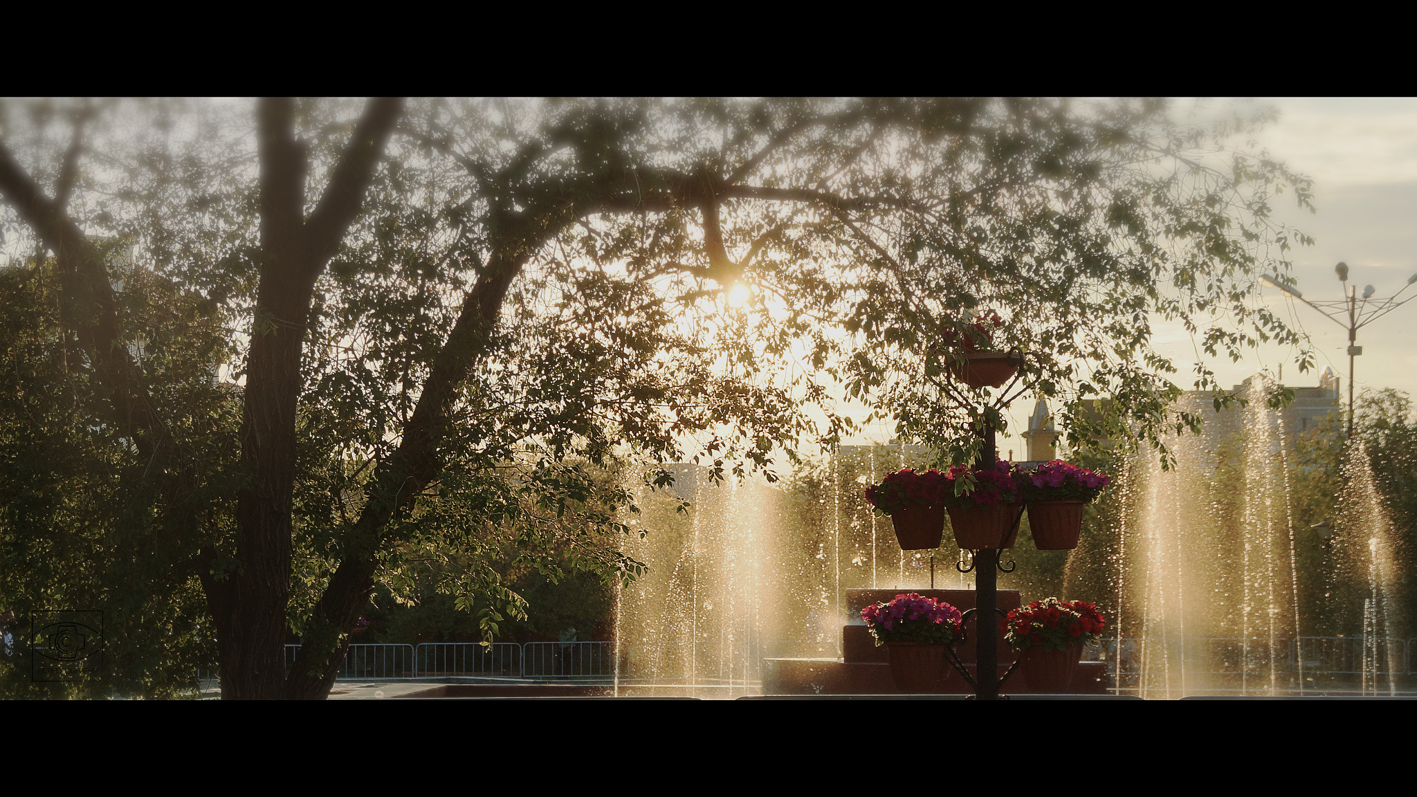 Sony SLT-A77 sample photo. Summer sunset photography