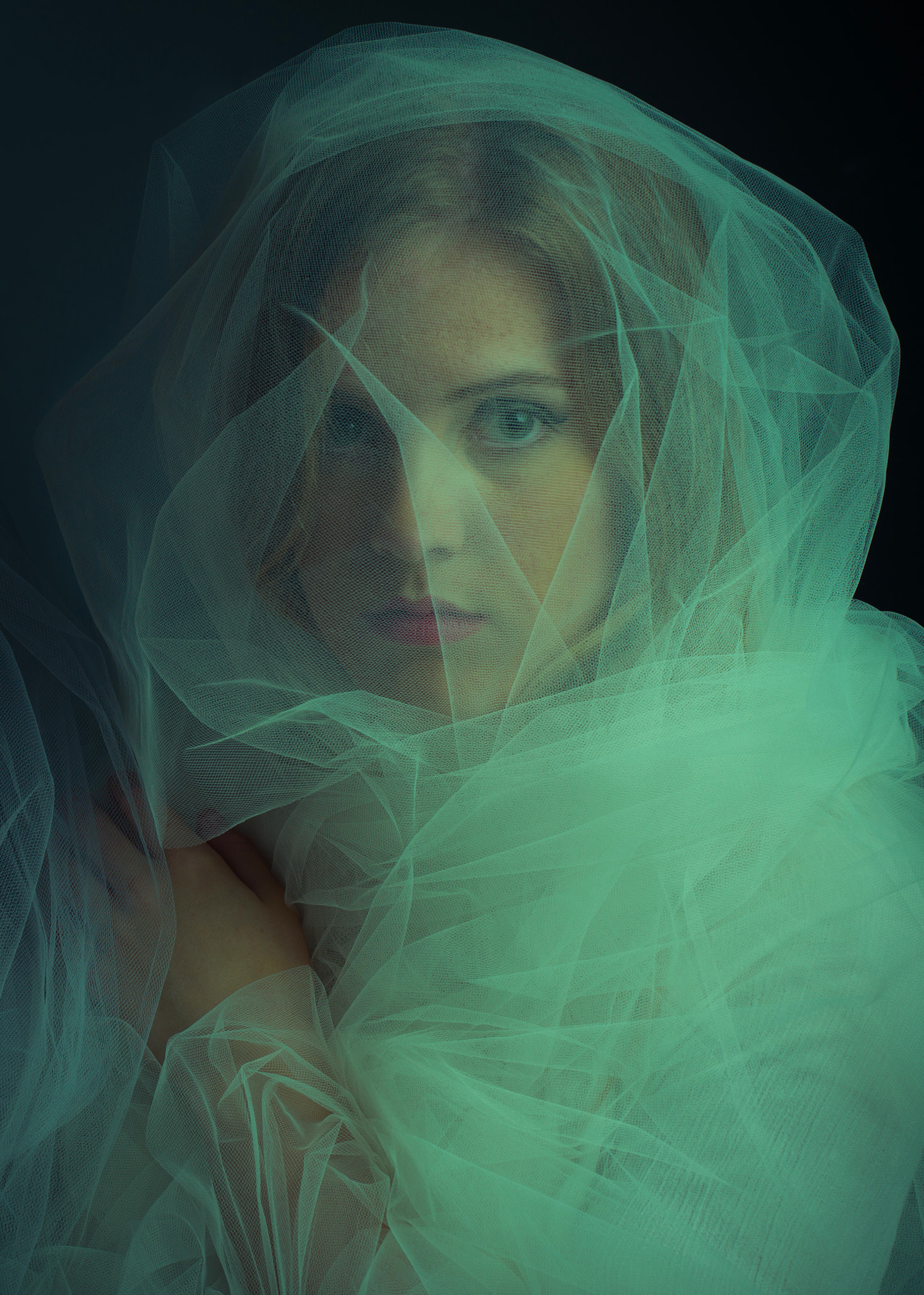 Hasselblad H3DII-31 sample photo. Veil model ainsley studio photography