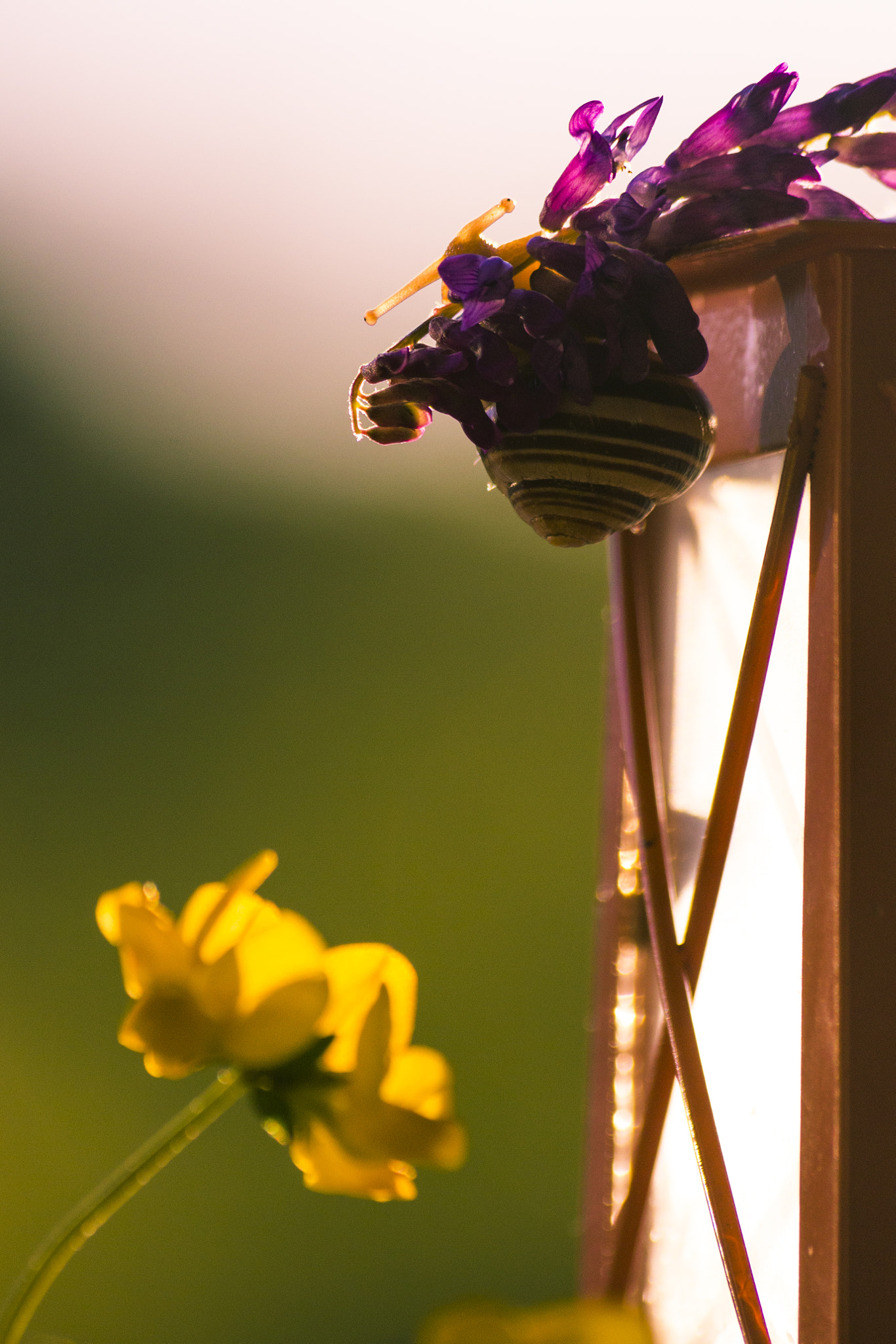 Sigma 70-300mm F4-5.6 APO DG Macro sample photo. Look from above photography