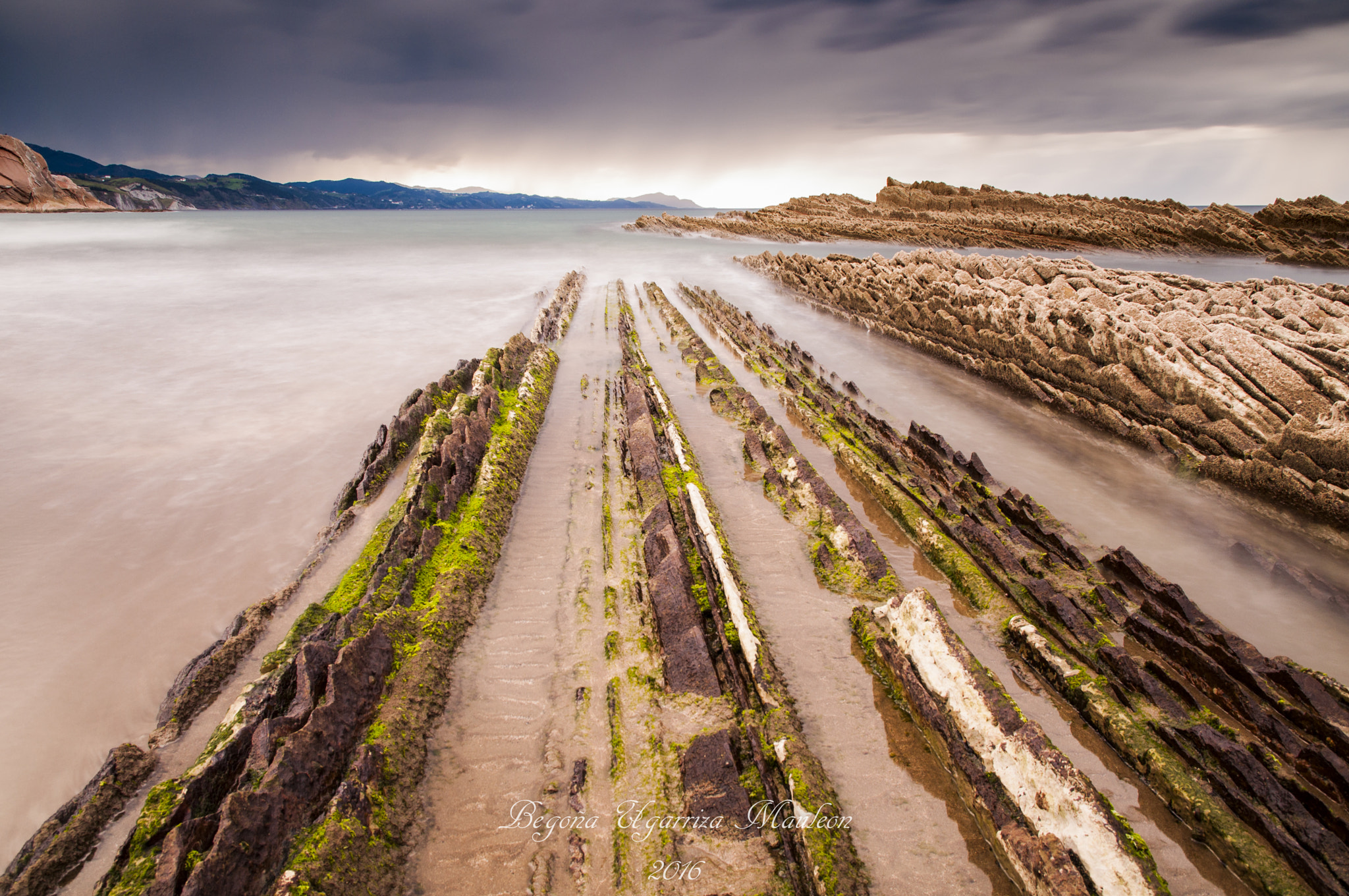Sigma 17-70mm F2.8-4 DC Macro OS HSM | C sample photo. Flysh photography