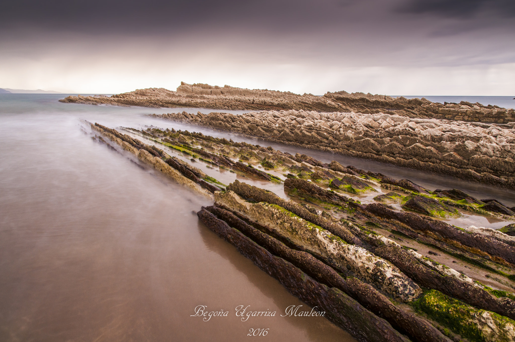 Sigma 17-70mm F2.8-4 DC Macro OS HSM | C sample photo. Flysh photography