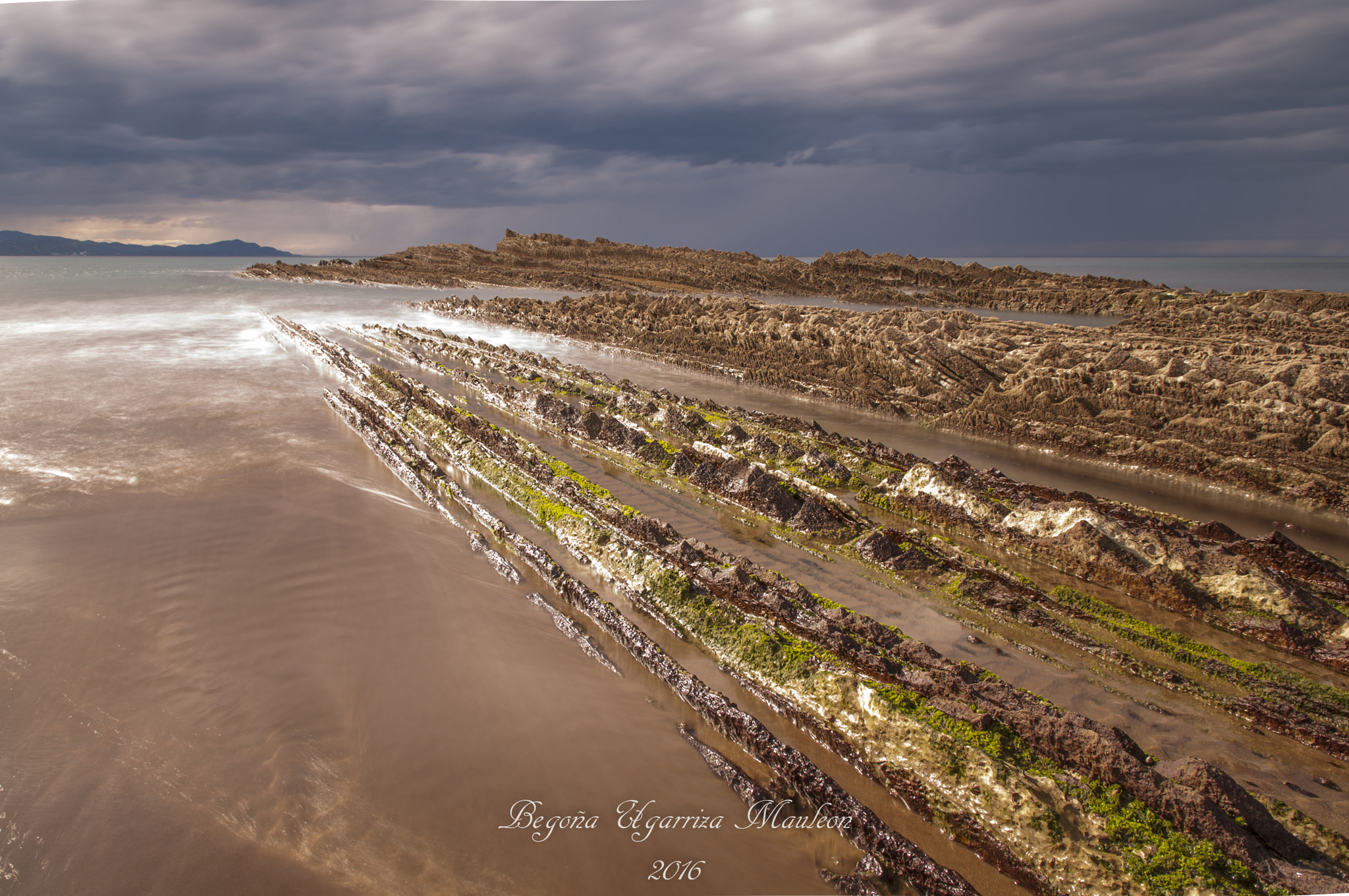 Sigma 17-70mm F2.8-4 DC Macro OS HSM | C sample photo. Flysh photography