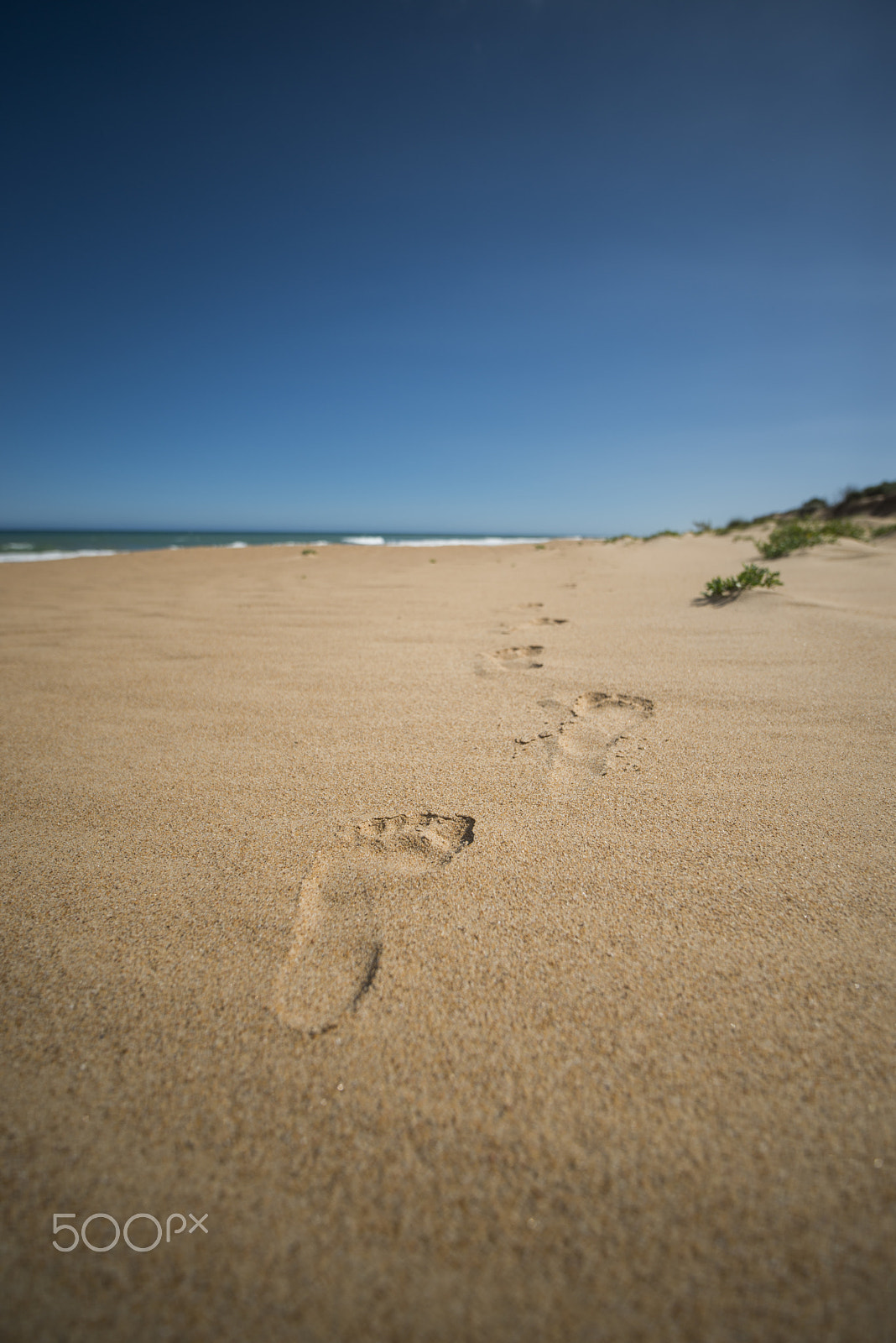 Nikon D800 + ZEISS Distagon T* 15mm F2.8 sample photo. Footsteps to 90 mile beach photography