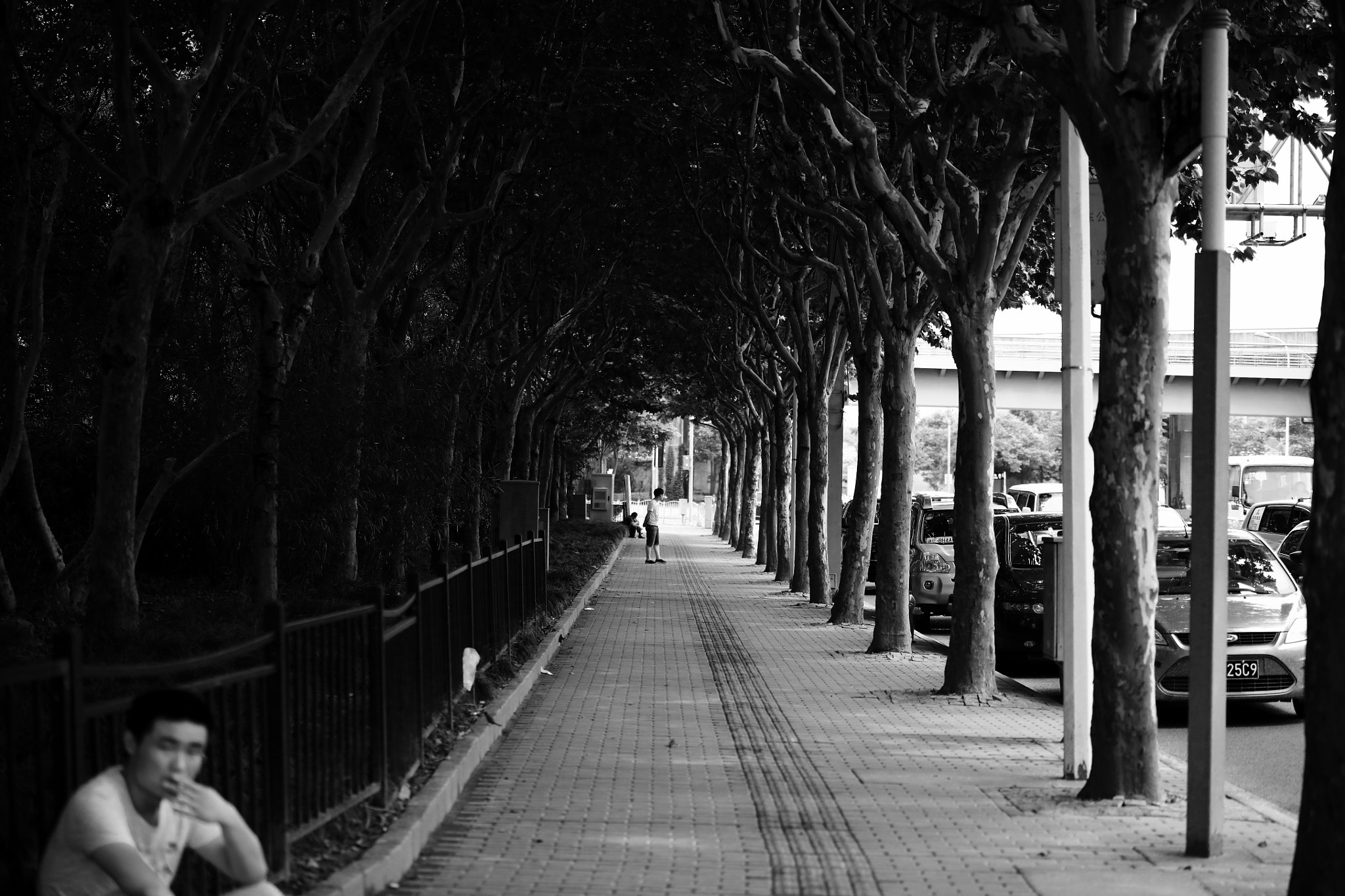 Sigma A 24-105 mm f/4 DG OS HSM sample photo. Shanghai sidewalk.jpg photography