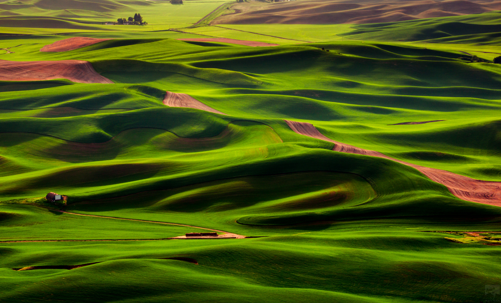 Olympus OM-D E-M1 + Panasonic Lumix G Vario 45-200mm F4-5.6 OIS sample photo. Palouse fields photography