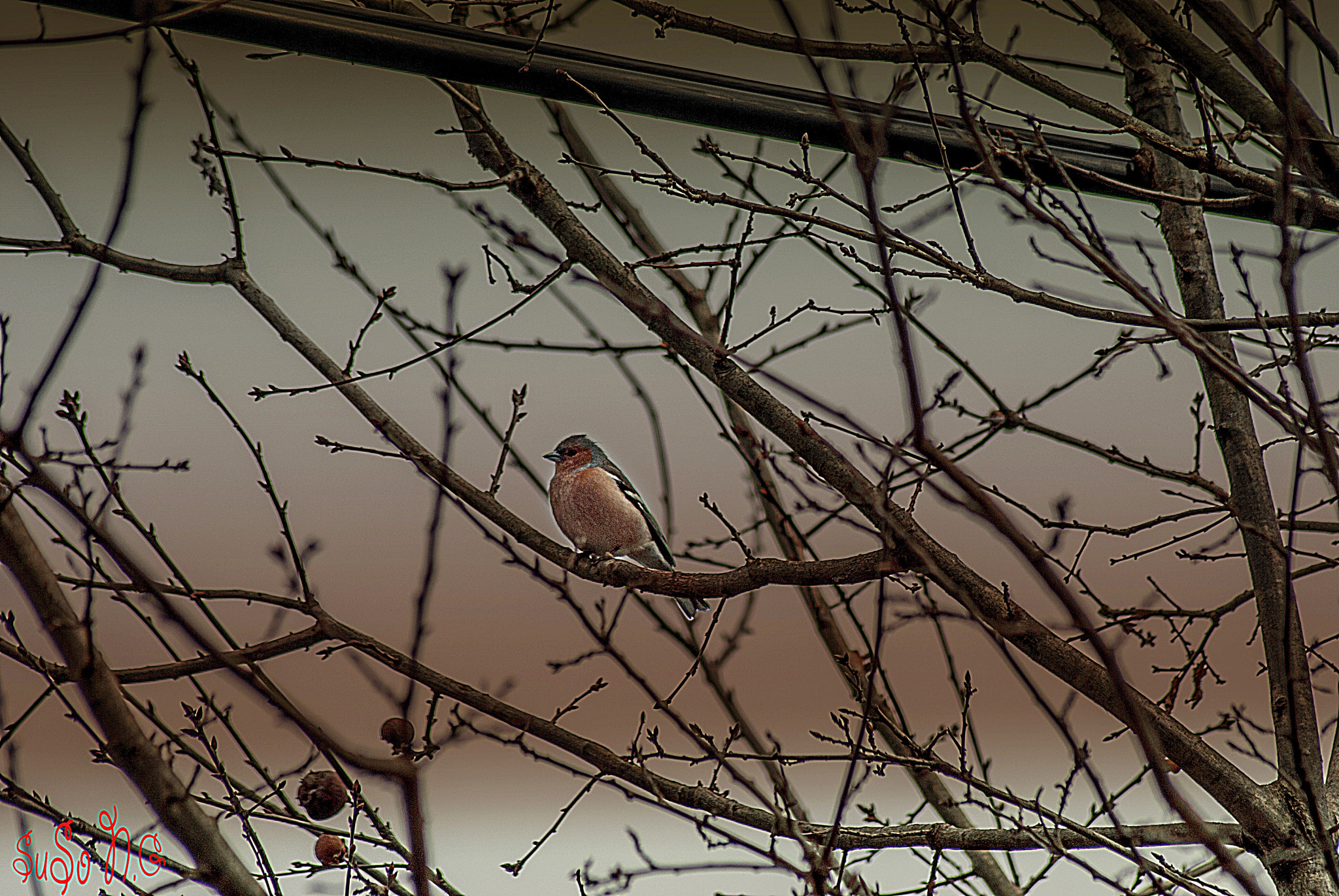 Nikon D3000 sample photo. E photography