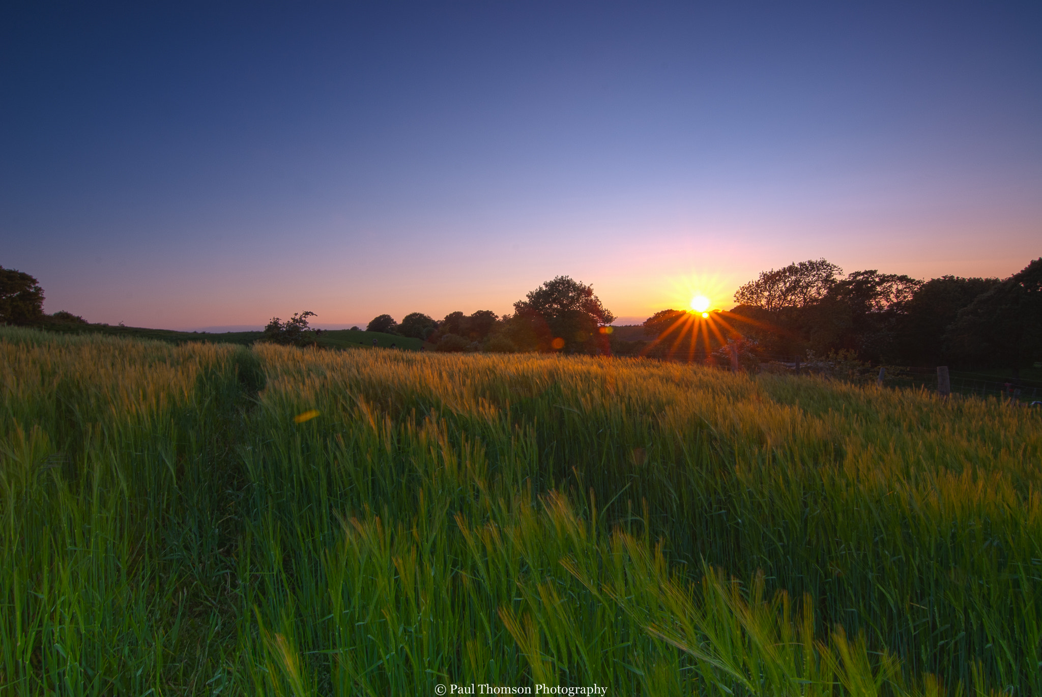 Nikon D200 sample photo. Barley fields photography