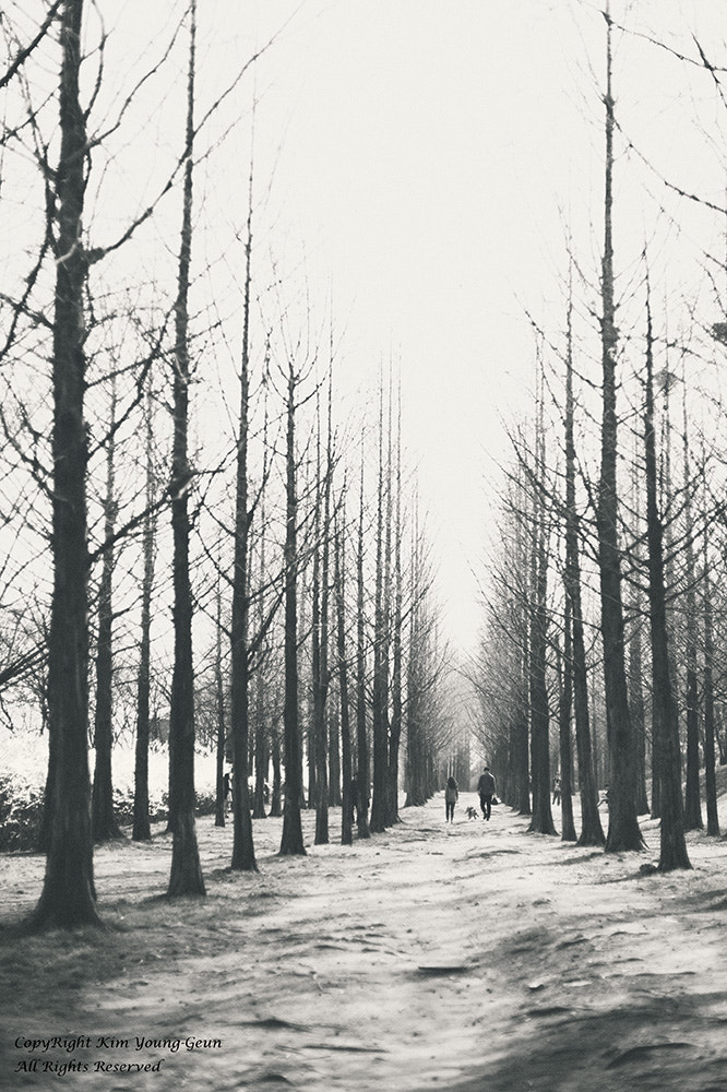 Nikon D4 + Nikon AF Nikkor 50mm F1.4D sample photo. A road leading into a dream photography