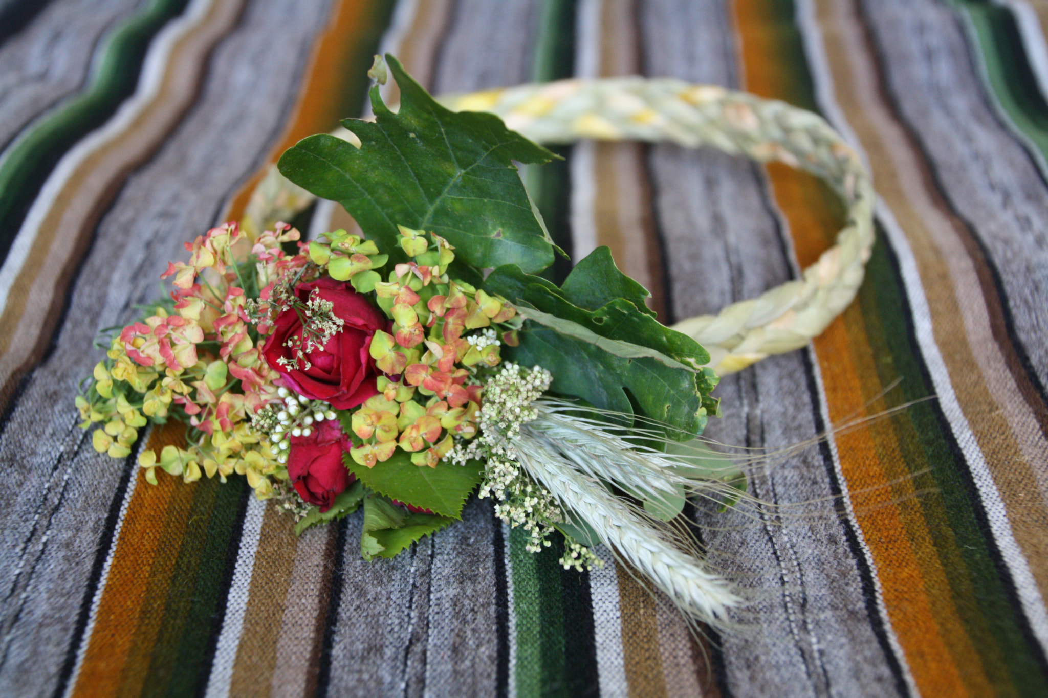 Canon EOS 1000D (EOS Digital Rebel XS / EOS Kiss F) sample photo. Flower crown photography