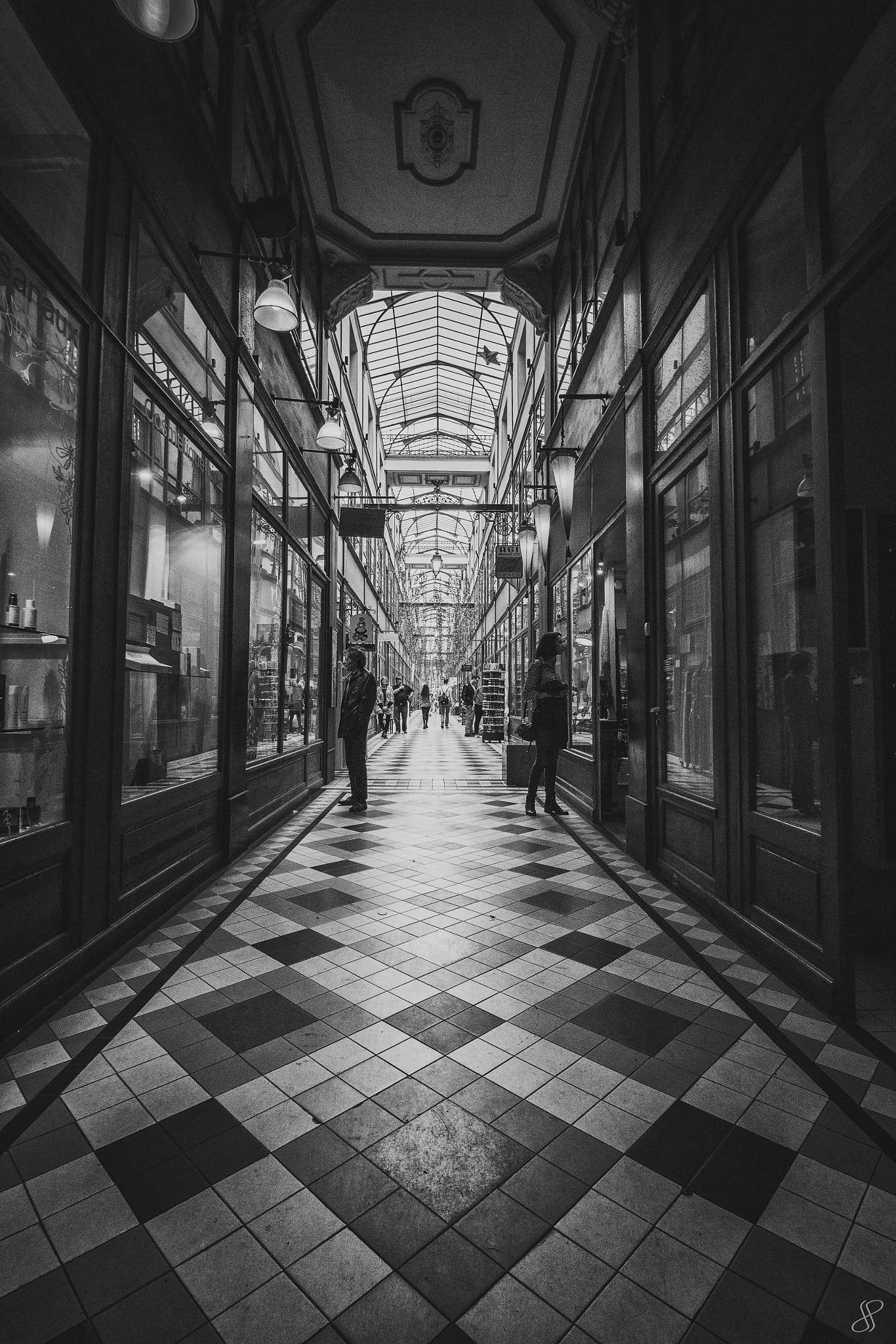Canon EF-S 10-18mm F4.5–5.6 IS STM sample photo. 2016#25 - passage du grand cerf, paris photography