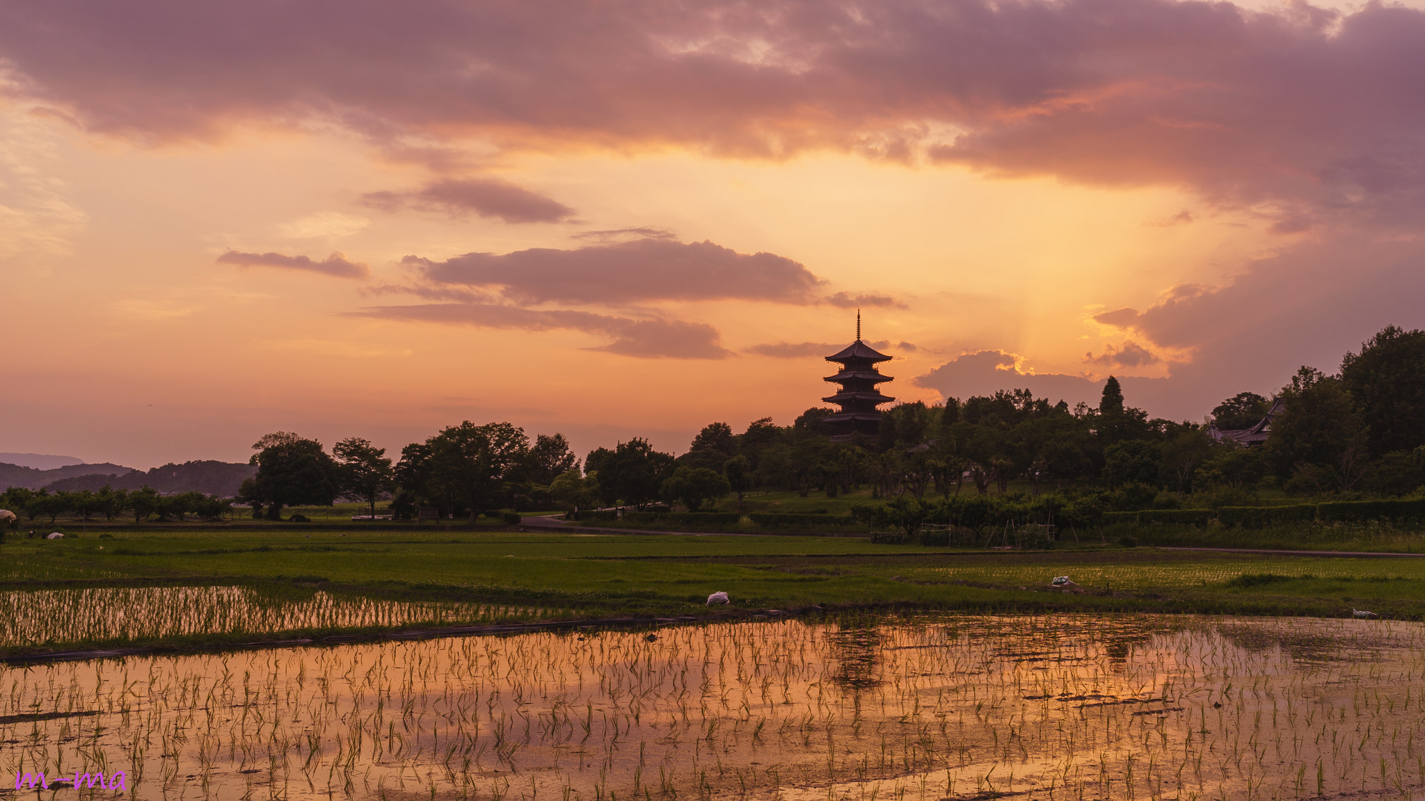 Sony a7S + Sony Distagon T* FE 35mm F1.4 ZA sample photo. Sunset and the temple goes to the rice field photography