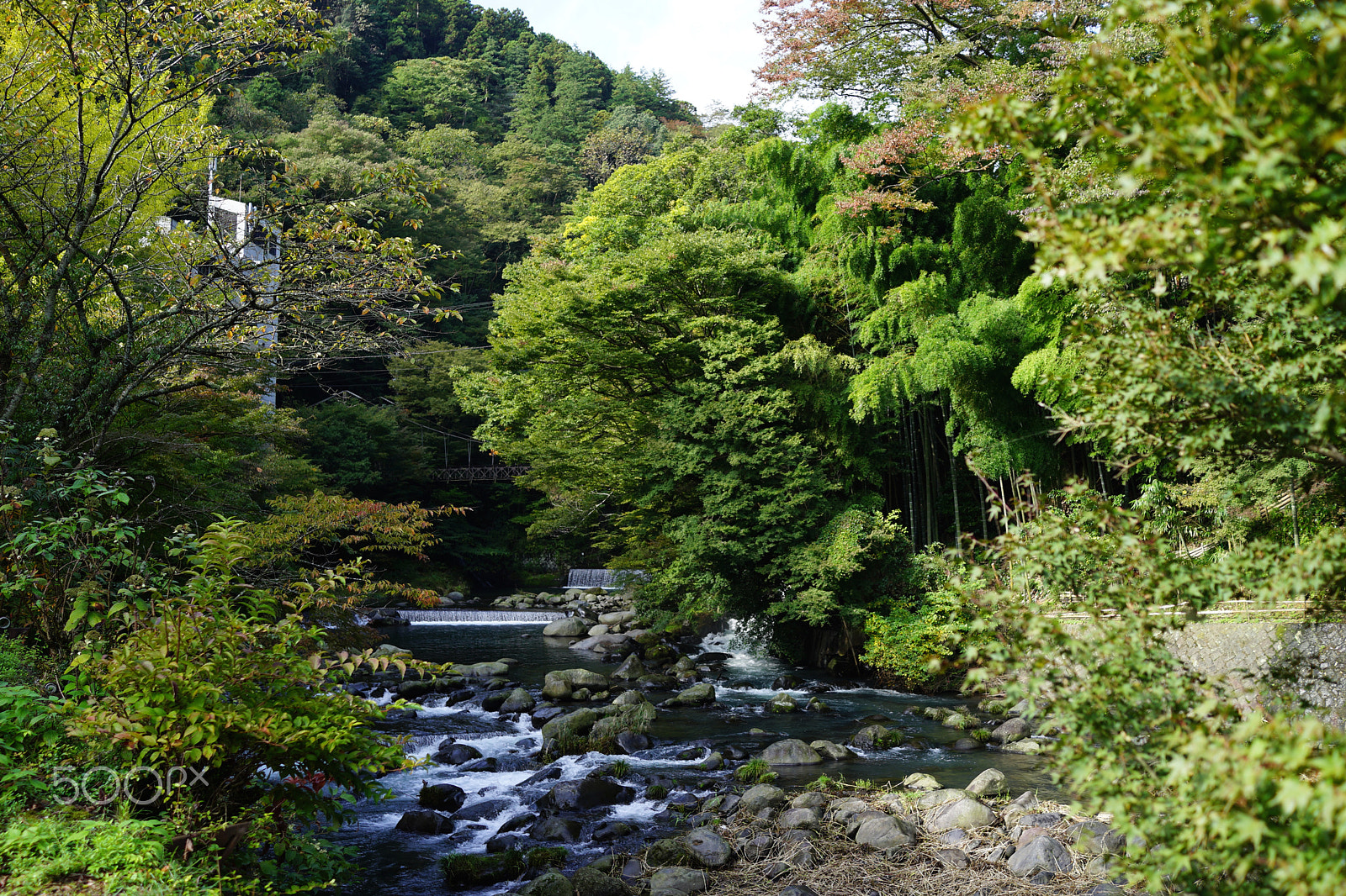 Sony Cyber-shot DSC-RX1R + Sony 35mm F2.0 sample photo. Downstream photography