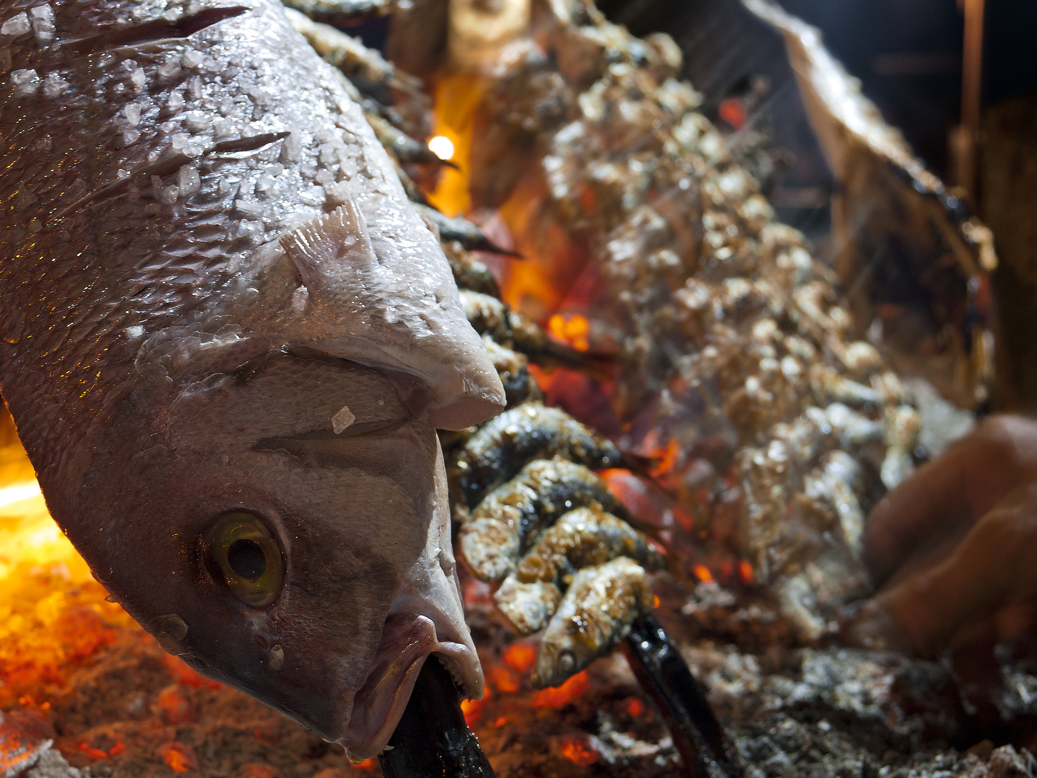 Panasonic Lumix DMC-GF1 sample photo. Grilled gilthead photography